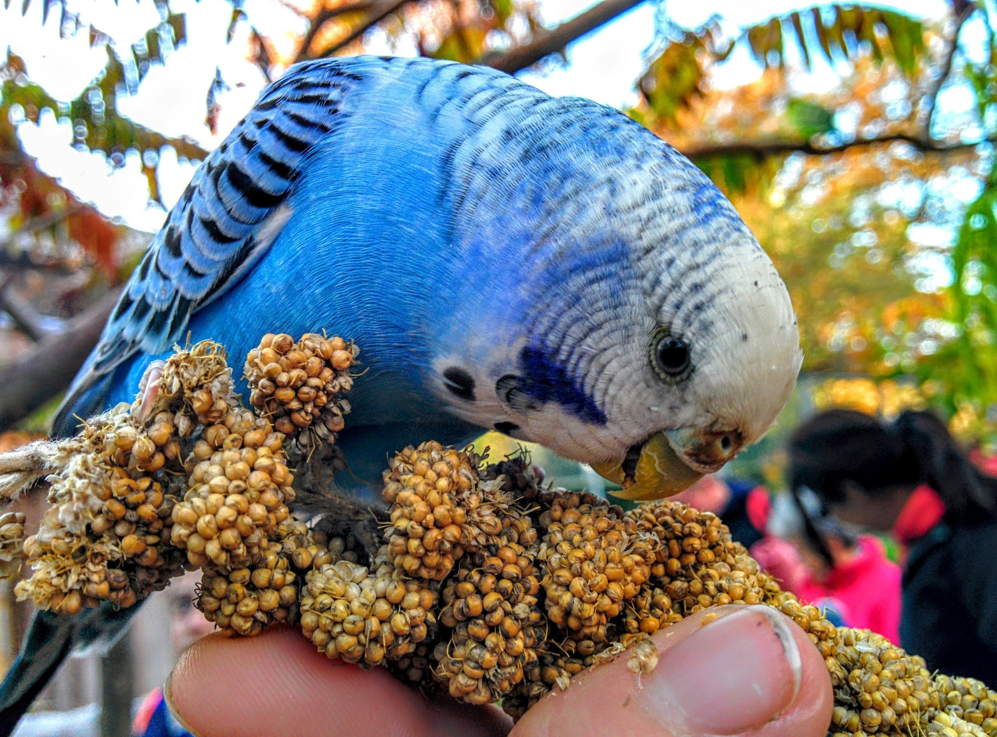 Free Unsplash photo from Malte Kaule