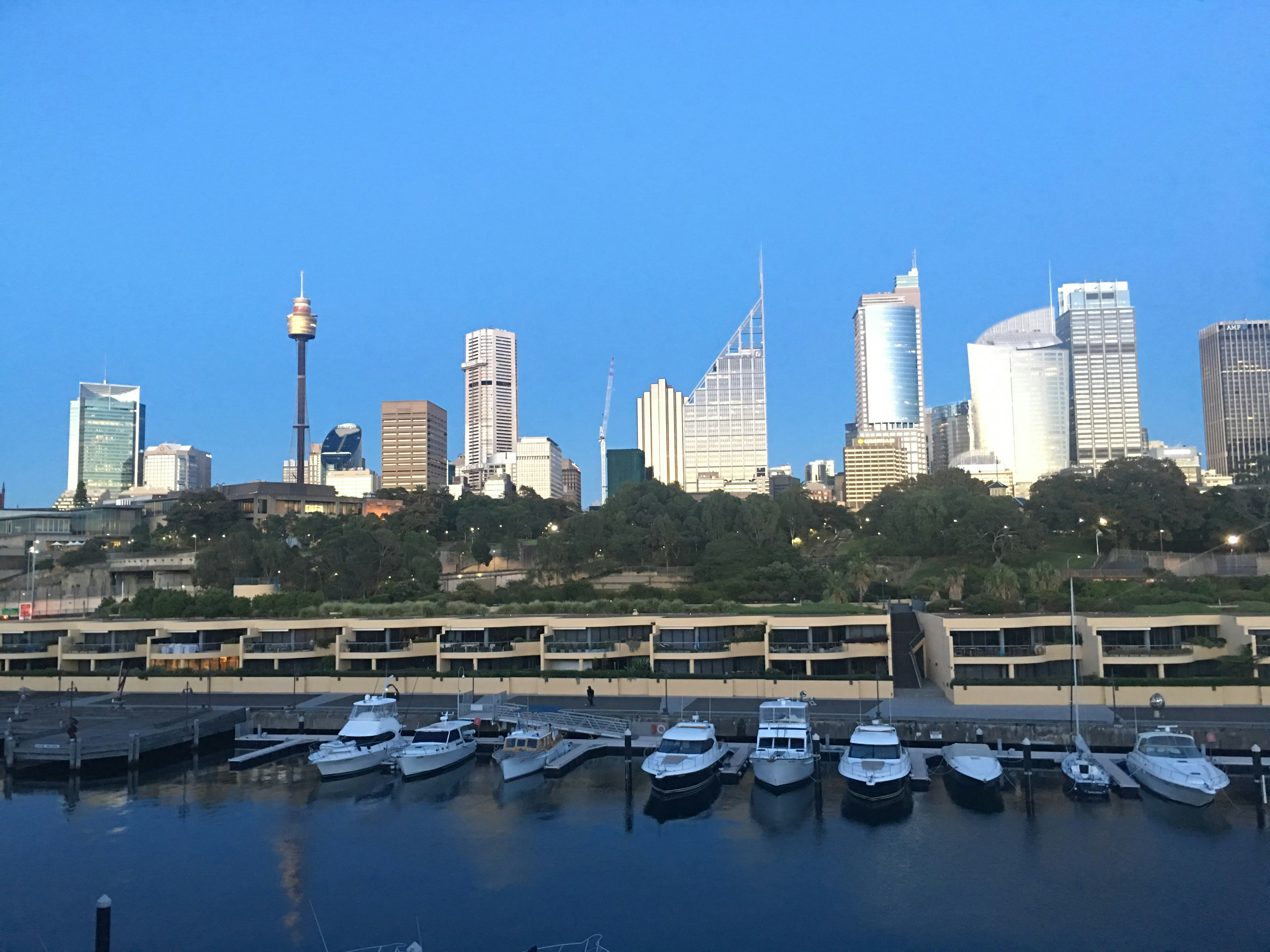 Free Unsplash photo from Lisa Baxter