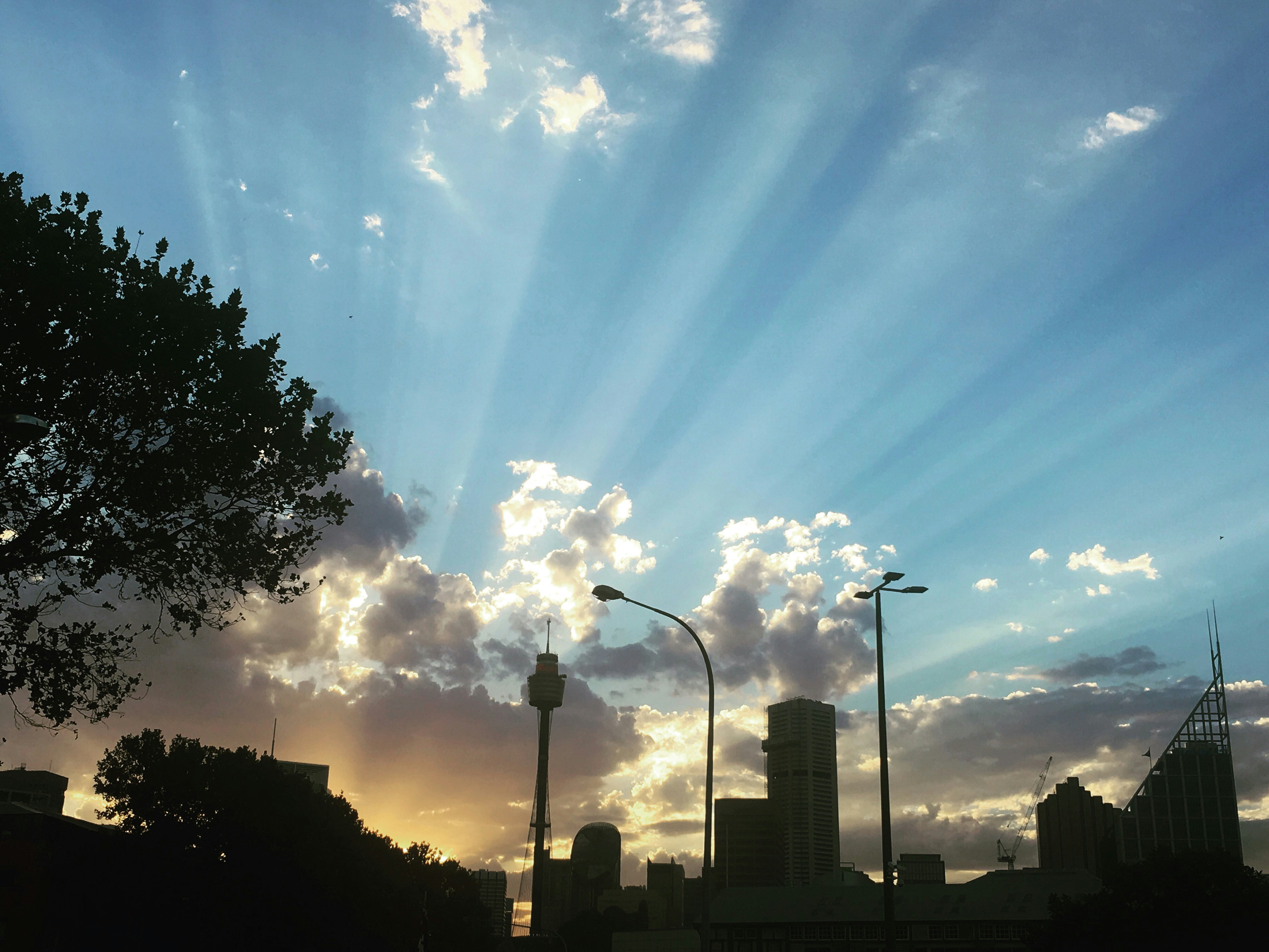 Free Unsplash photo from Lisa Baxter