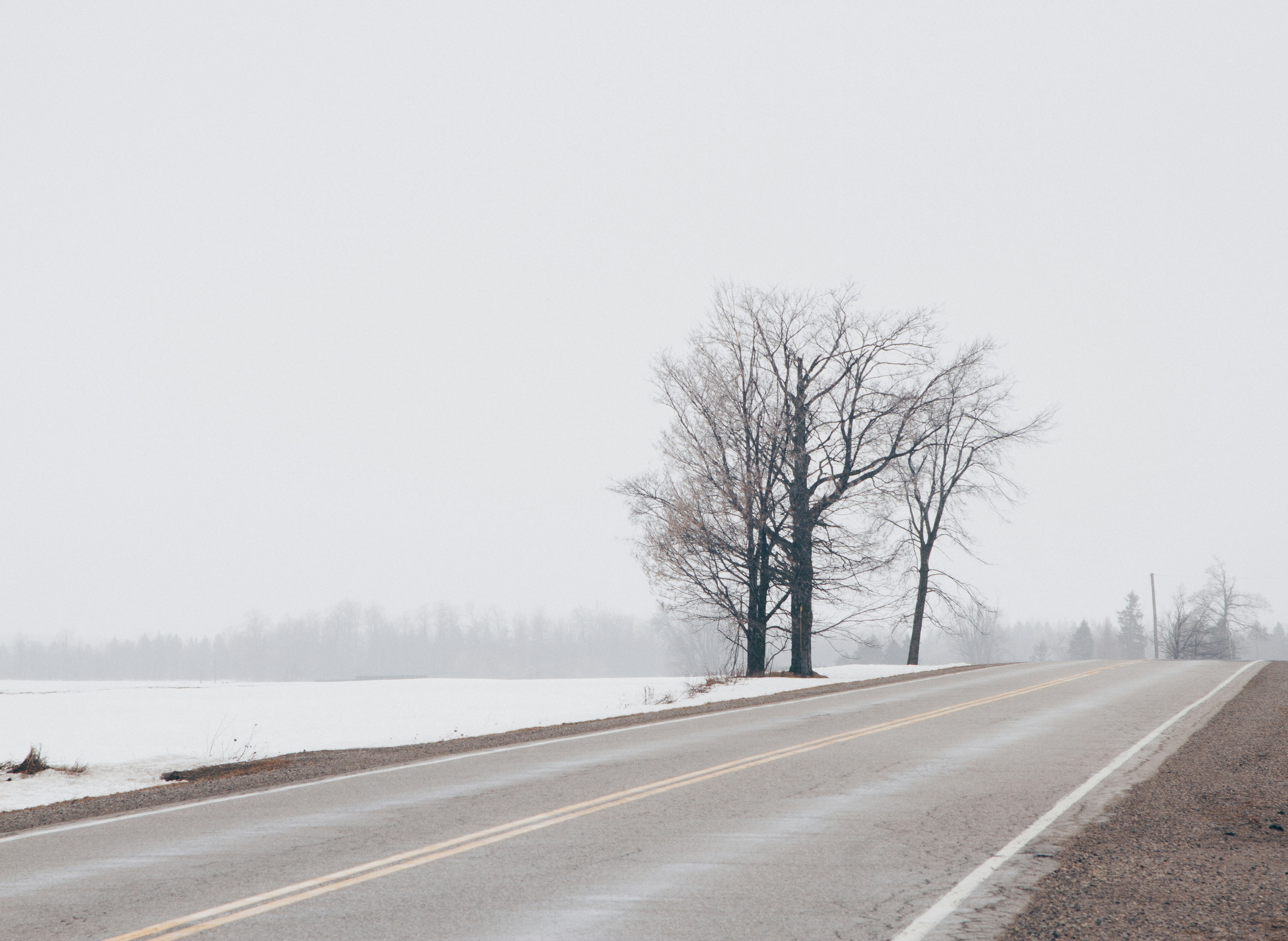 Free Unsplash photo from Dan Ritson