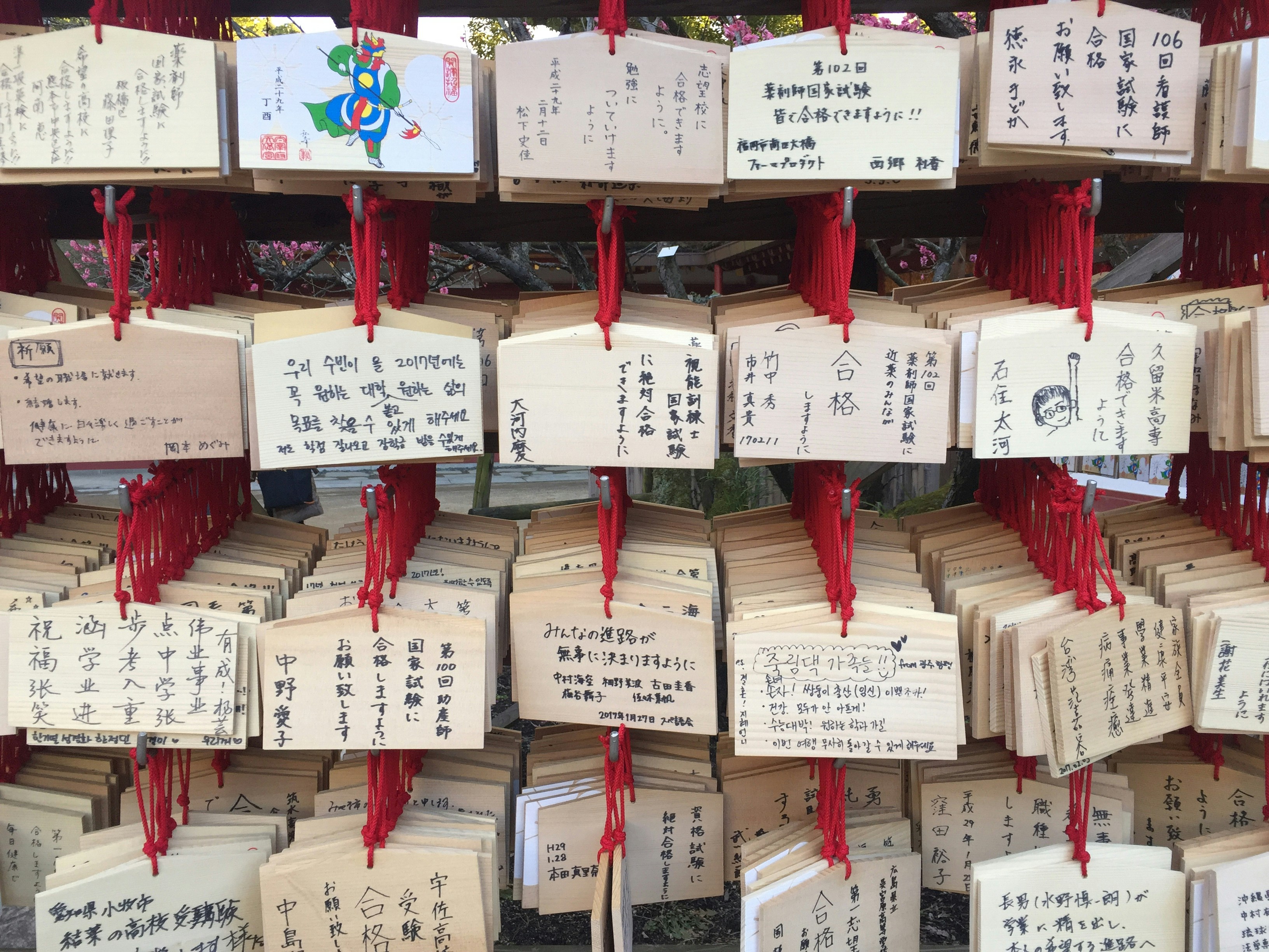 Free Unsplash photo from William Felker