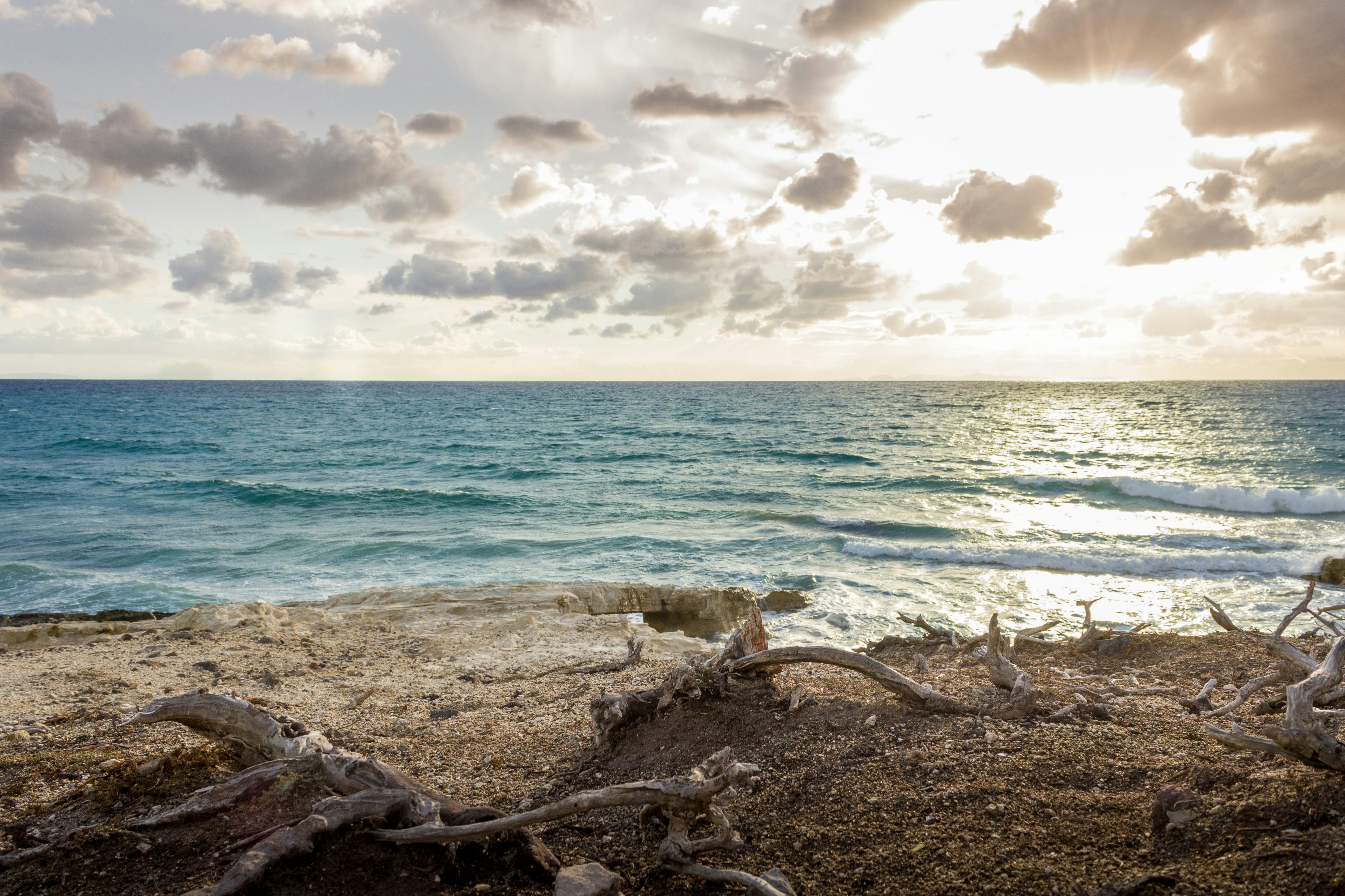 Free Unsplash photo from Patrick Schöpflin