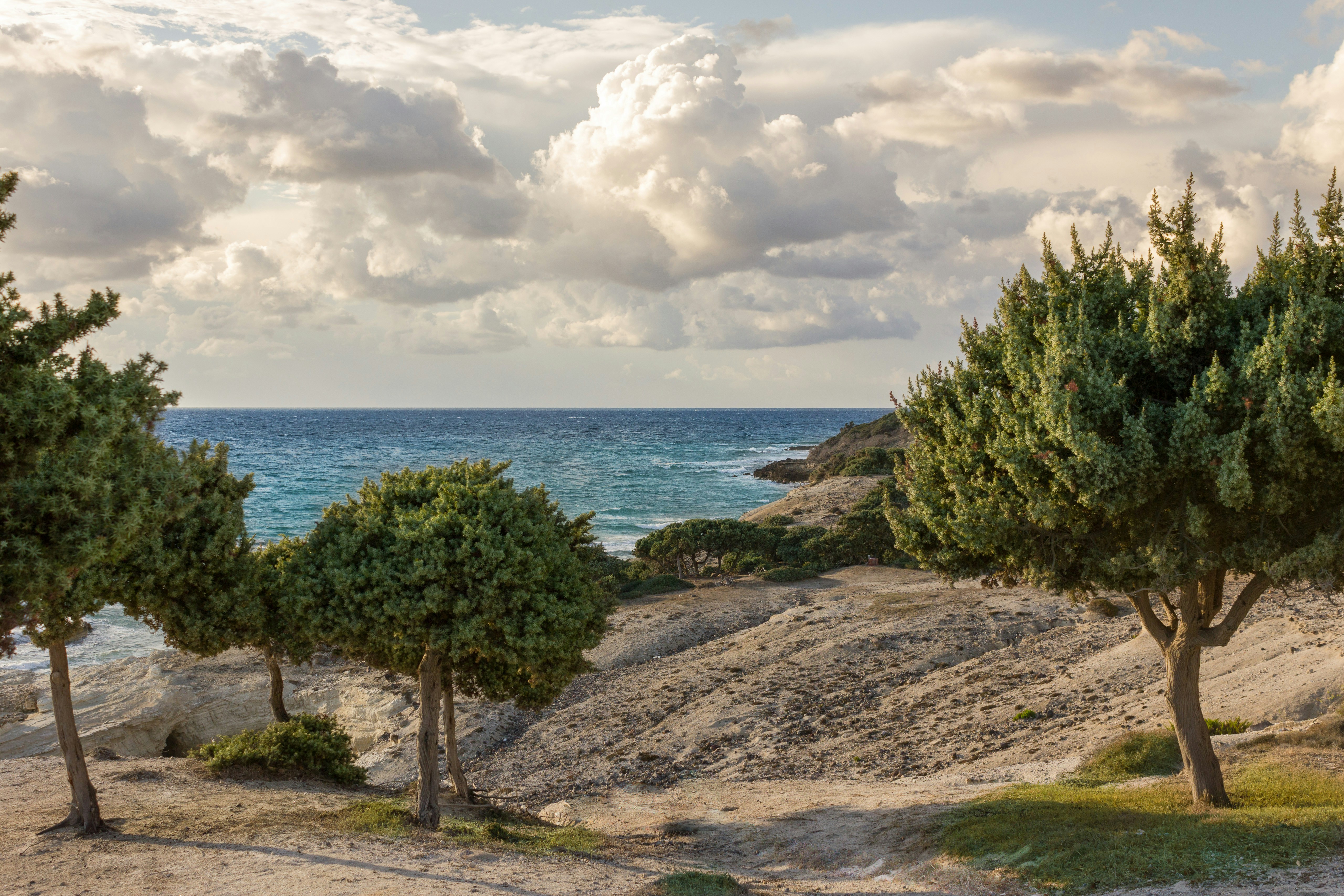 Free Unsplash photo from Patrick Schöpflin