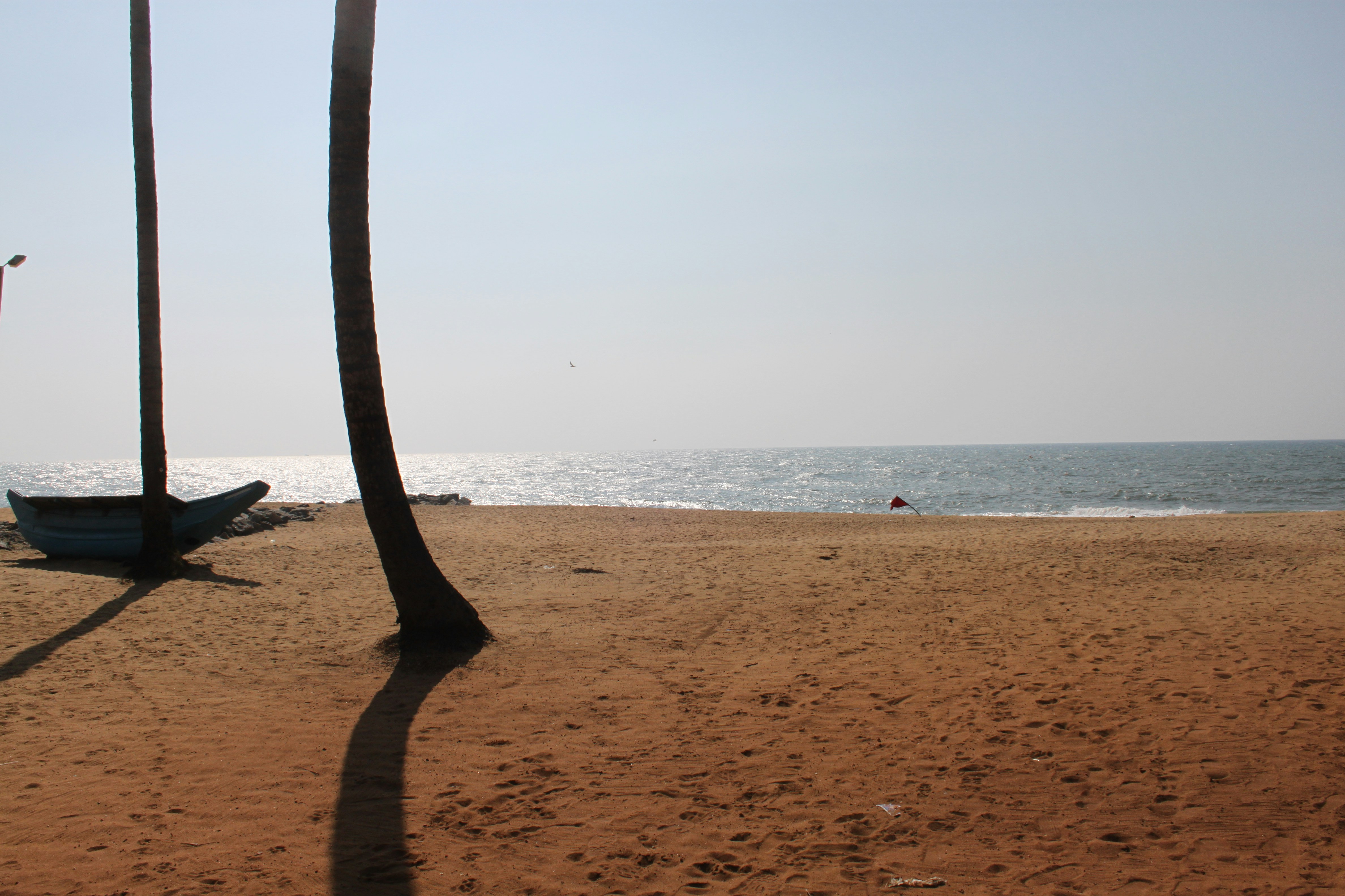 Free Unsplash photo from Gabrielle van Brussel