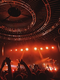 people watching concert