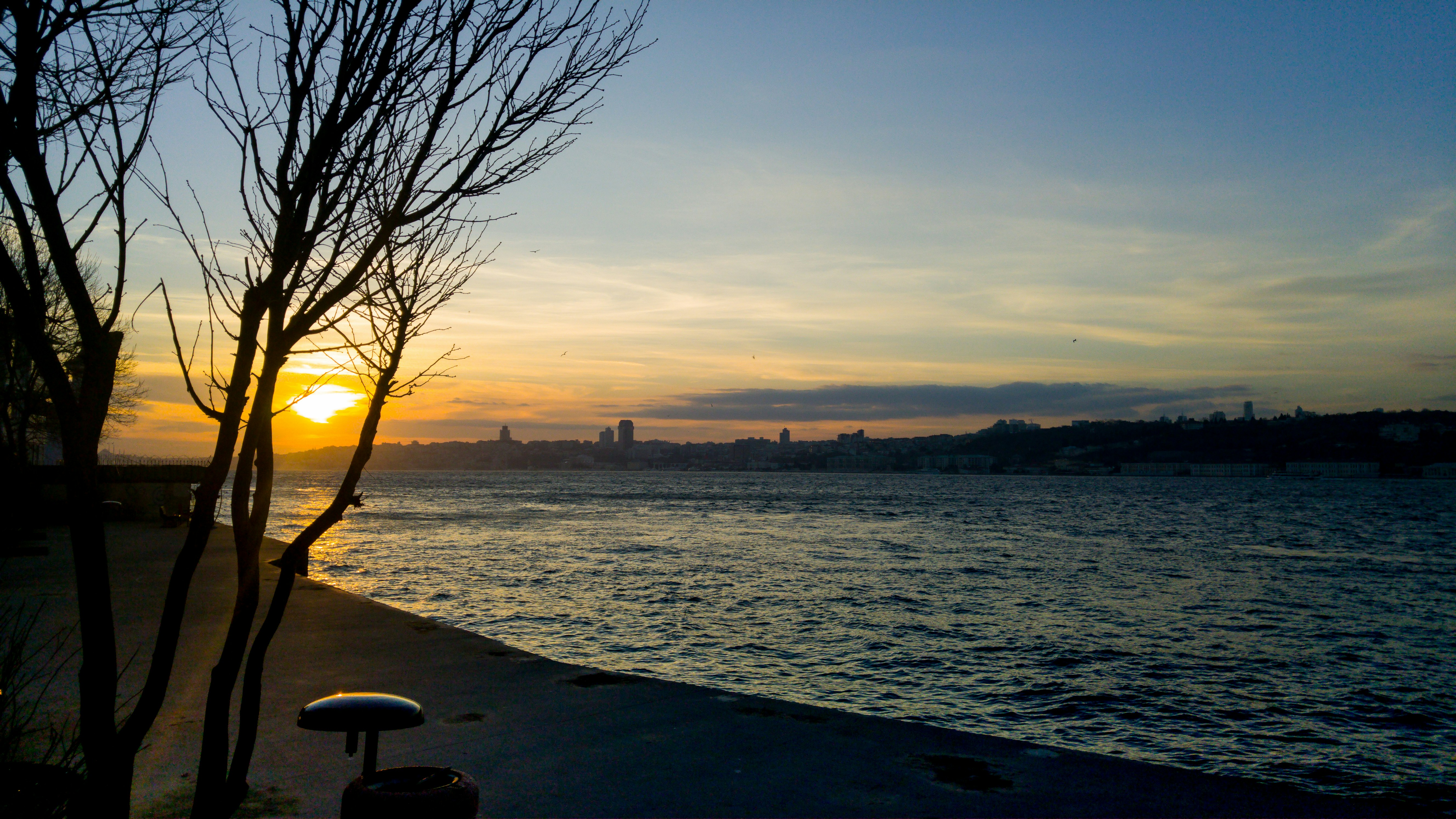 Free Unsplash photo from Mathias Weber