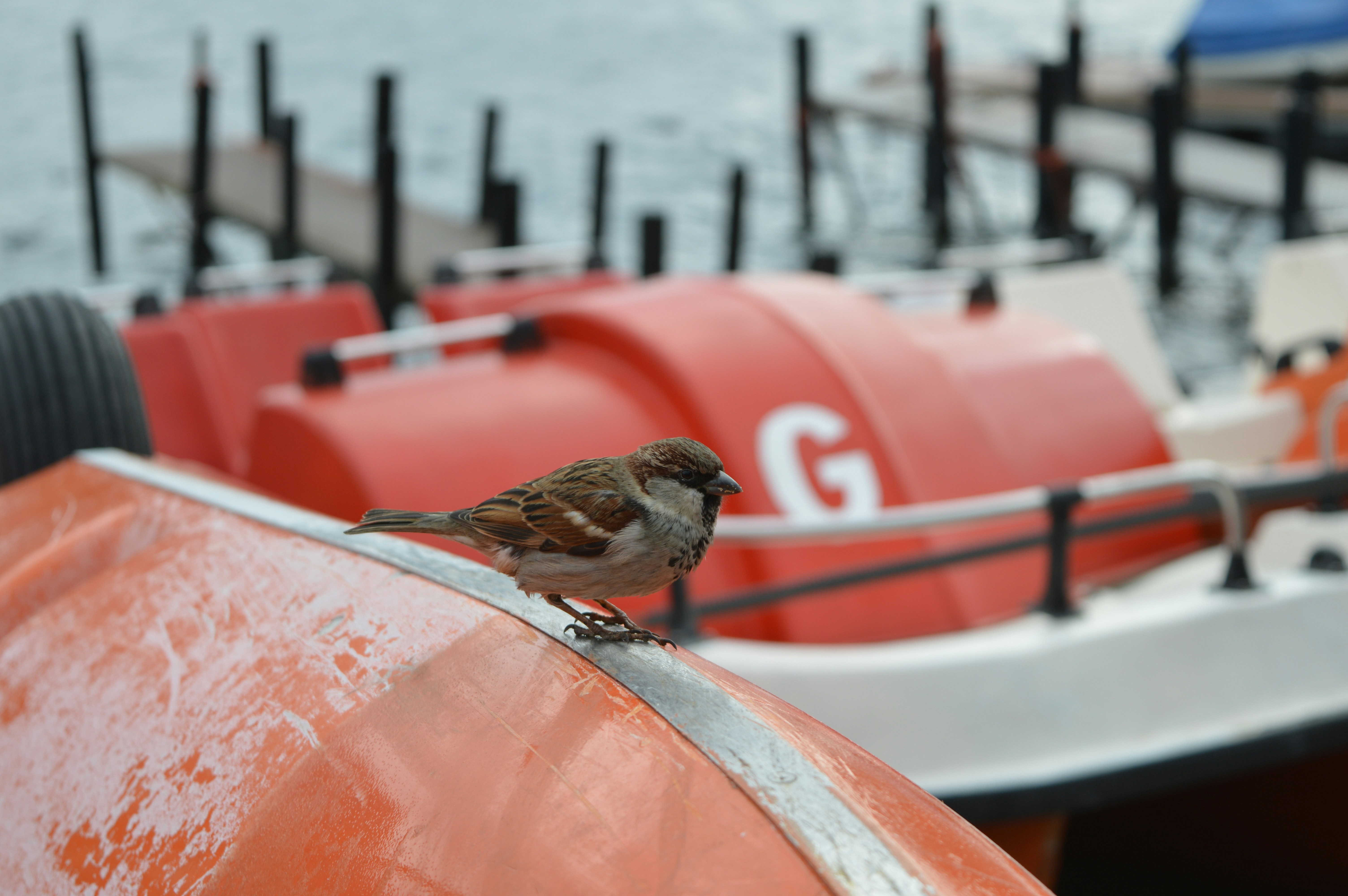 Free Unsplash photo from Gabriel Izgi