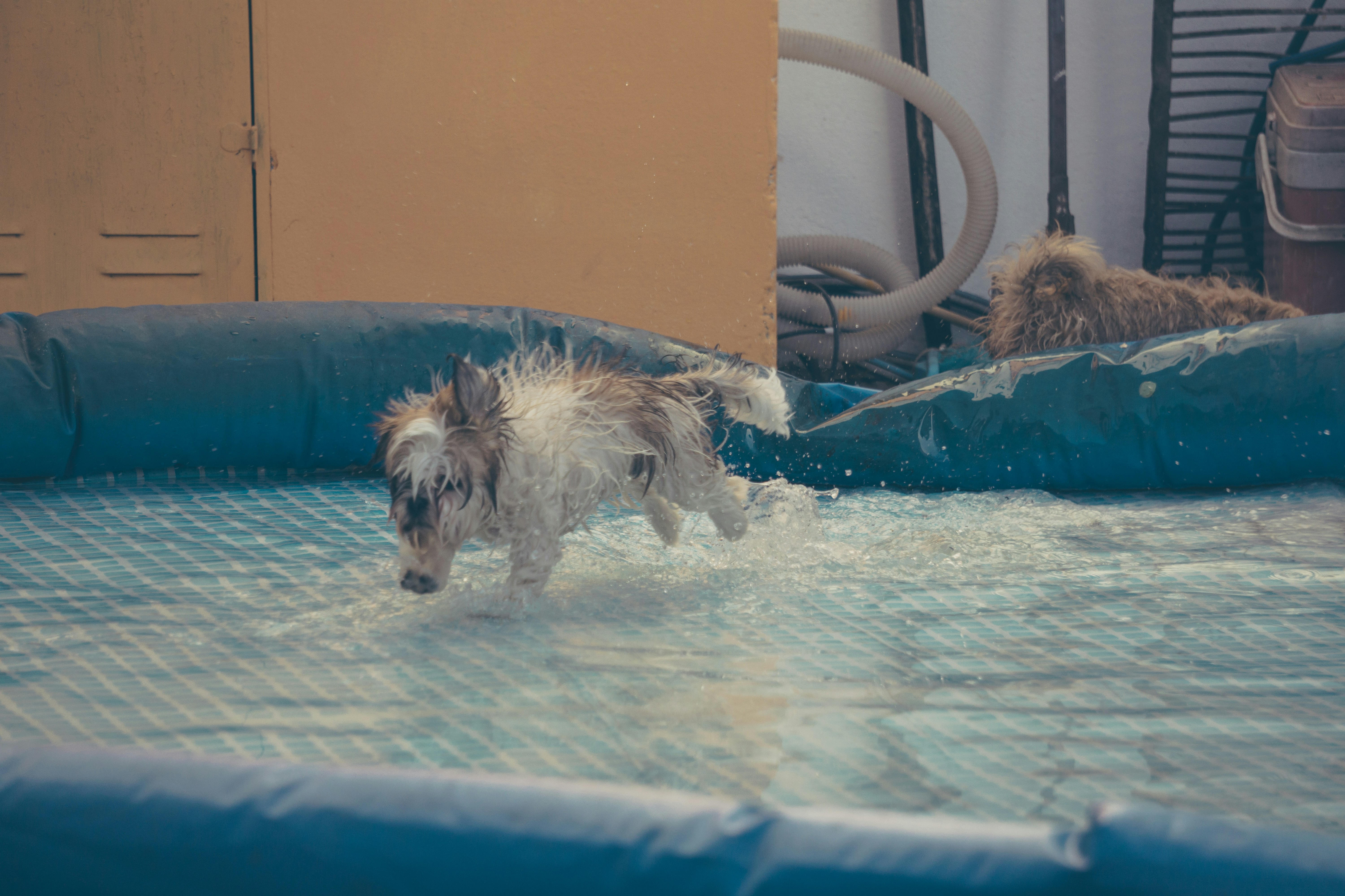 Free Unsplash photo from Cynthia Sanchez