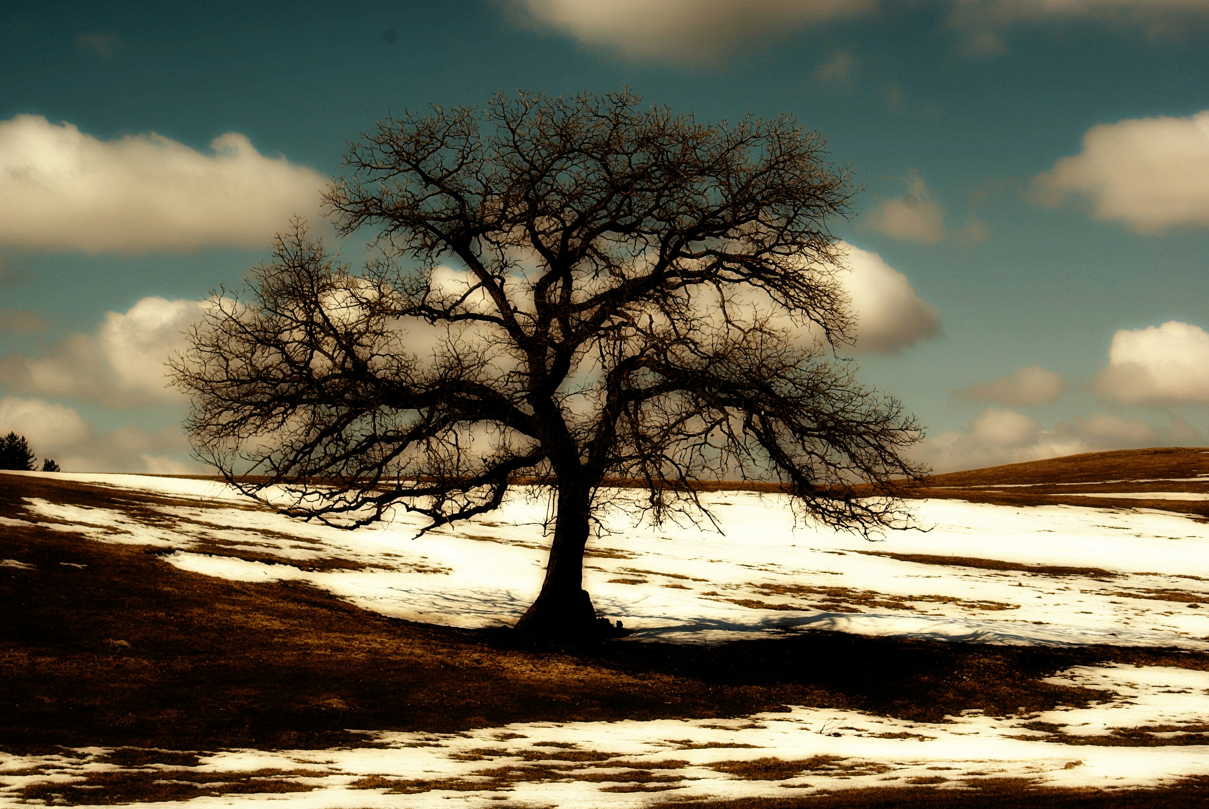 Free Unsplash photo from Dawn Sanborn