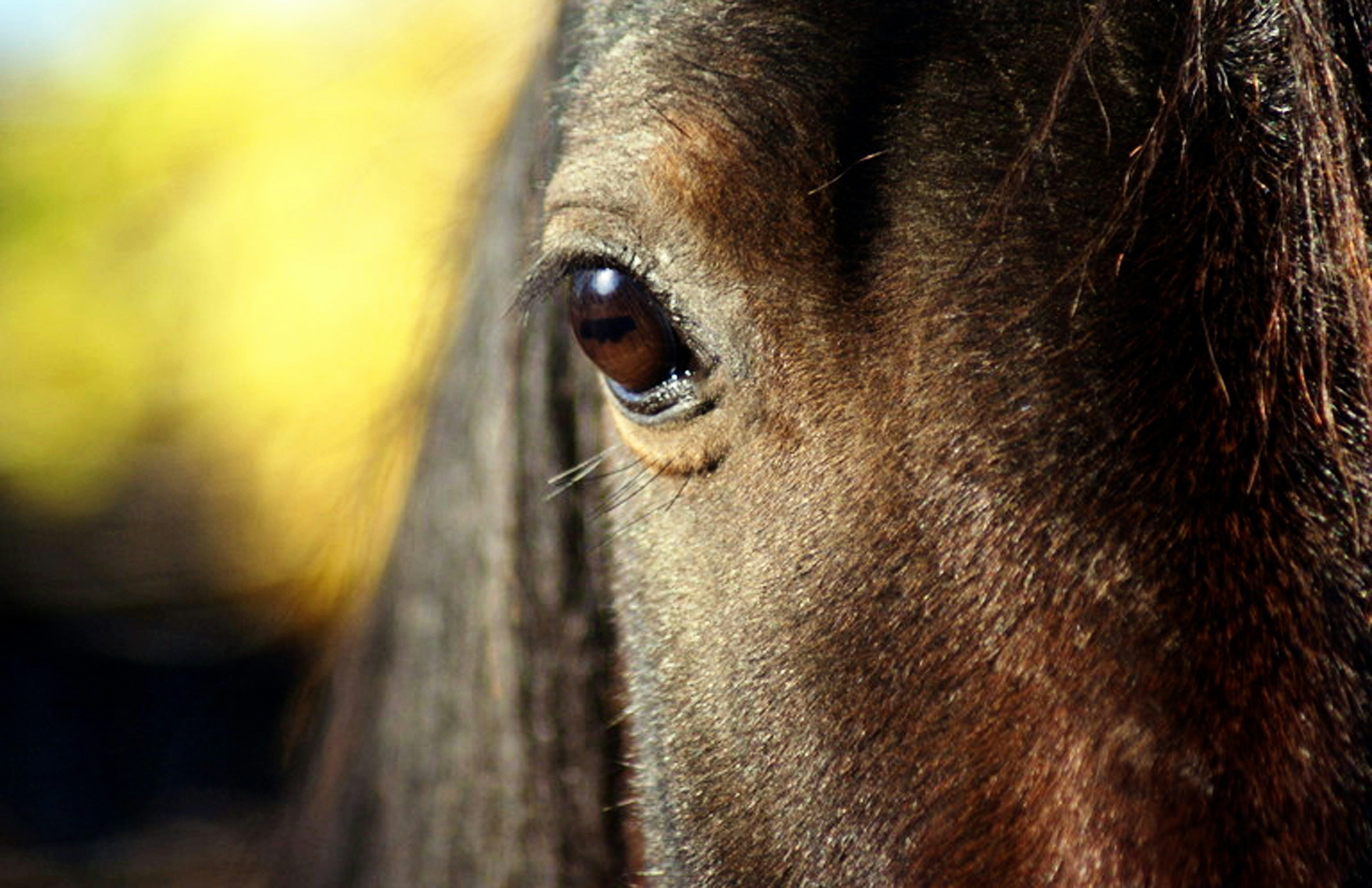 Free Unsplash photo from Dawn Sanborn