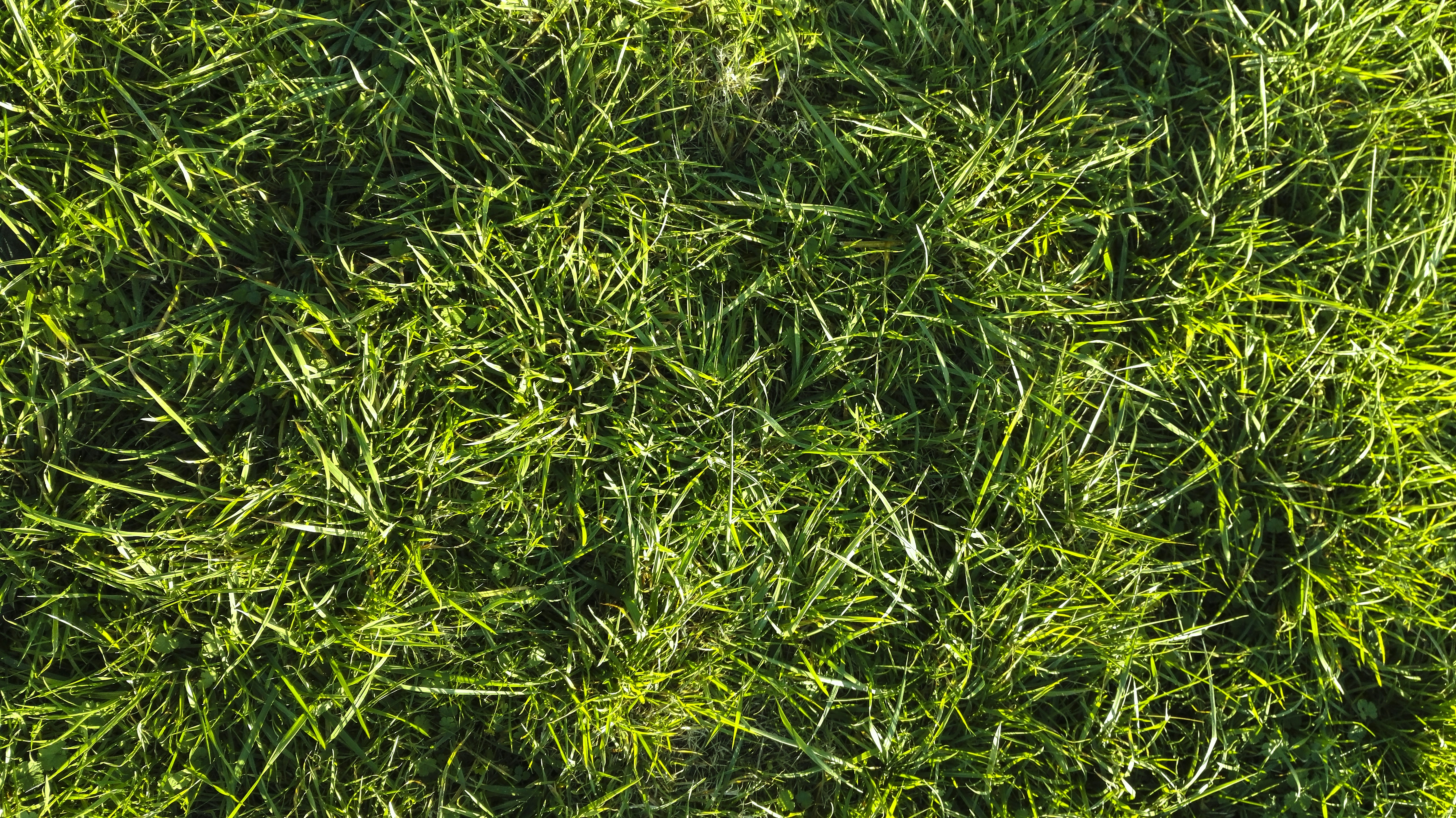 Free Unsplash photo from Pierre Saigot