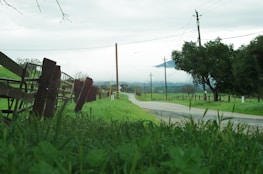 A rural road stretches into the distance, flanked by lush green grass and wooden fences. Utility poles run parallel to the road, and a large tree stands on the right. The sky is overcast, and hills are visible in the background.