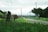 A rural road stretches into the distance, flanked by lush green grass and wooden fences. Utility poles run parallel to the road, and a large tree stands on the right. The sky is overcast, and hills are visible in the background.