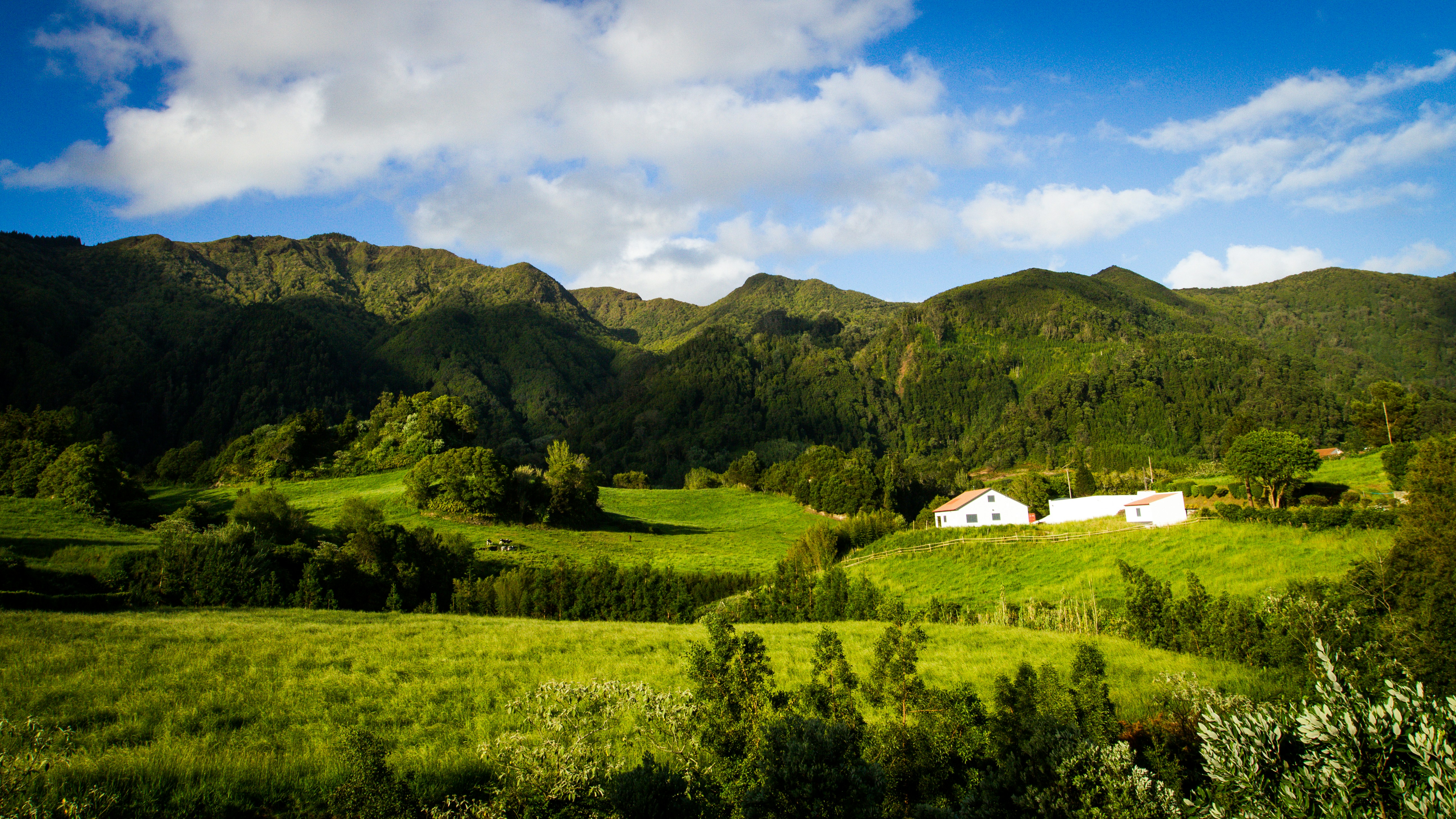 Free Unsplash photo from Ricardo Röseler