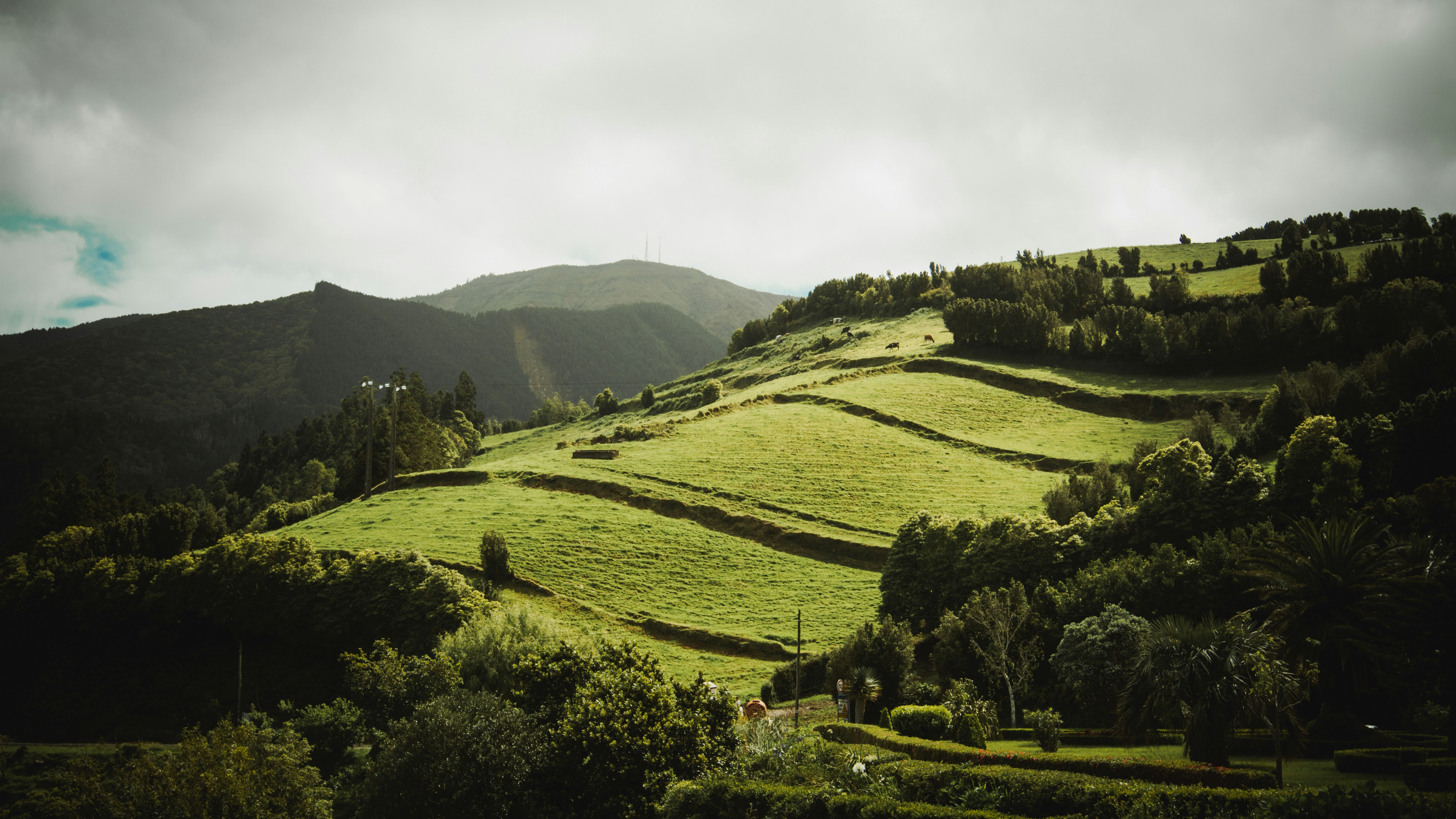 Free Unsplash photo from Ricardo Röseler