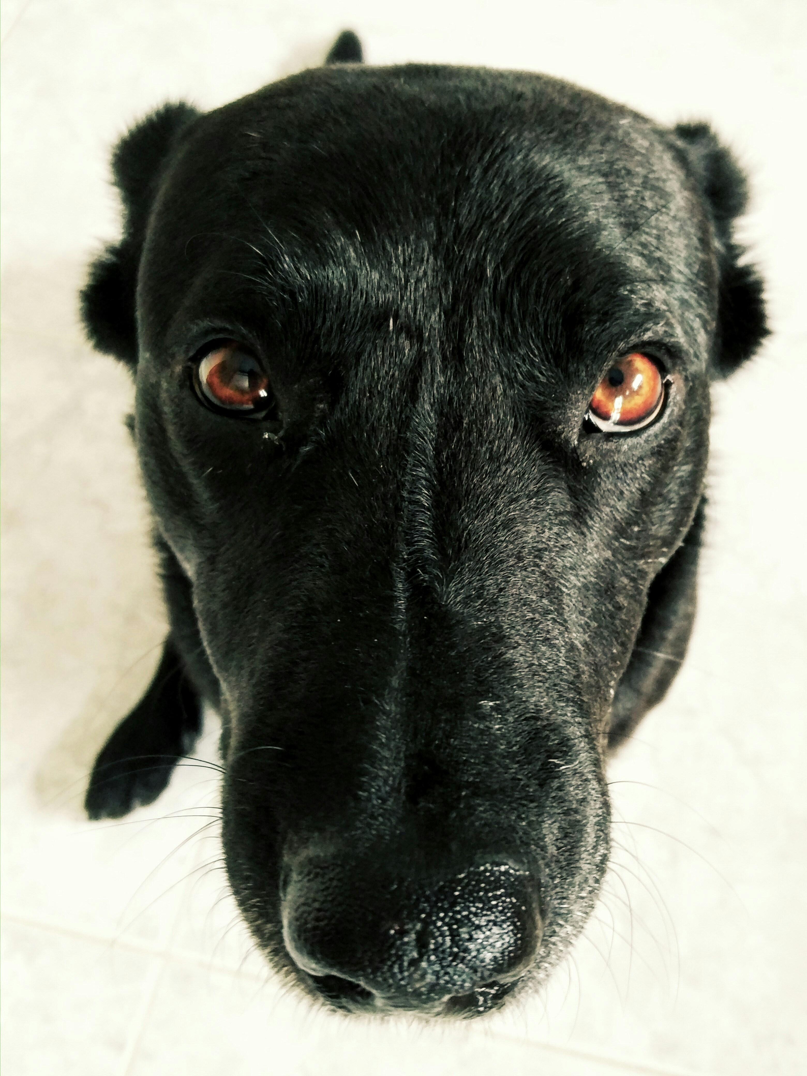 Free Unsplash photo from Ricardo Röseler