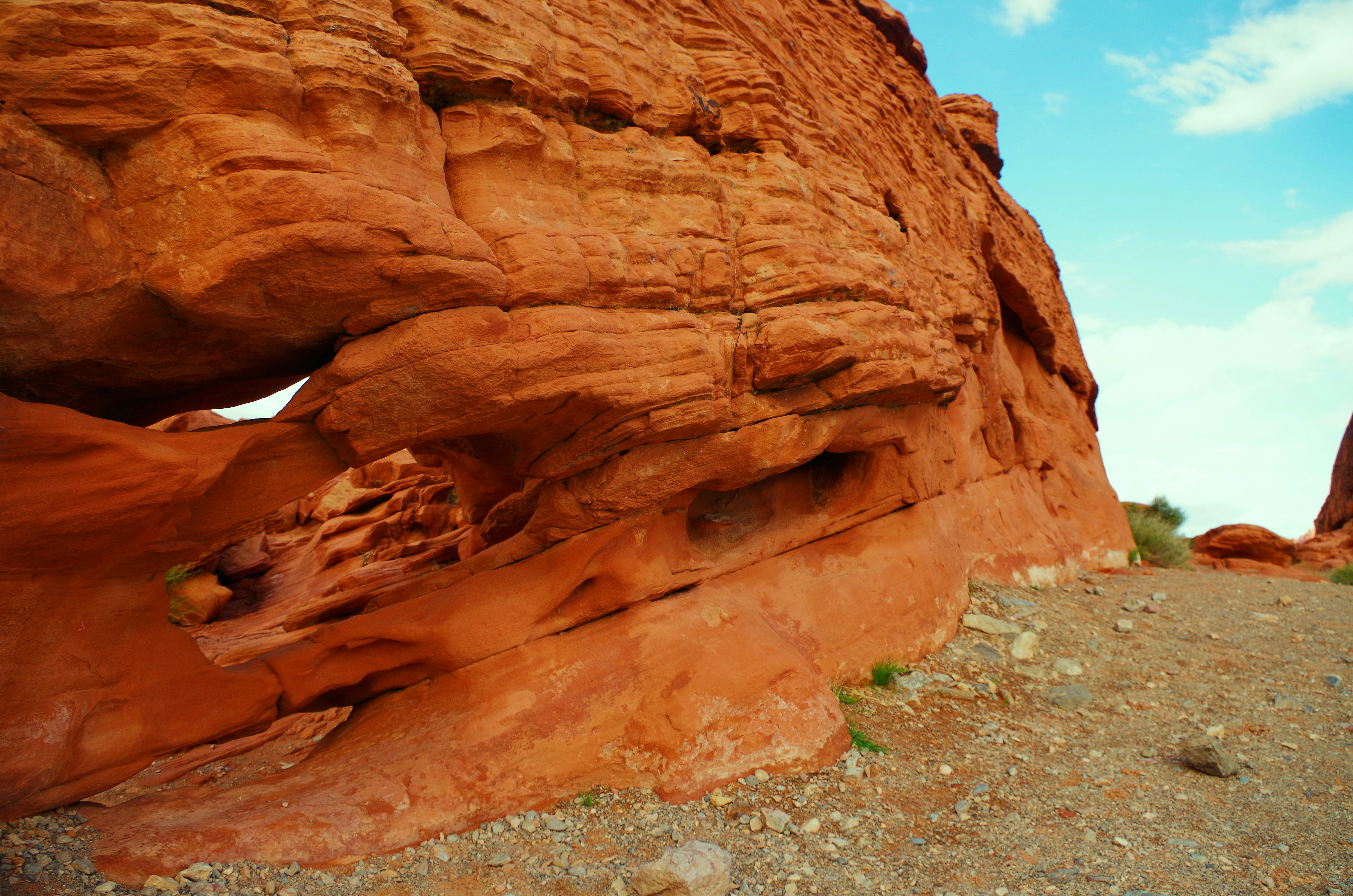 Free Unsplash photo from HappyLifeLearner