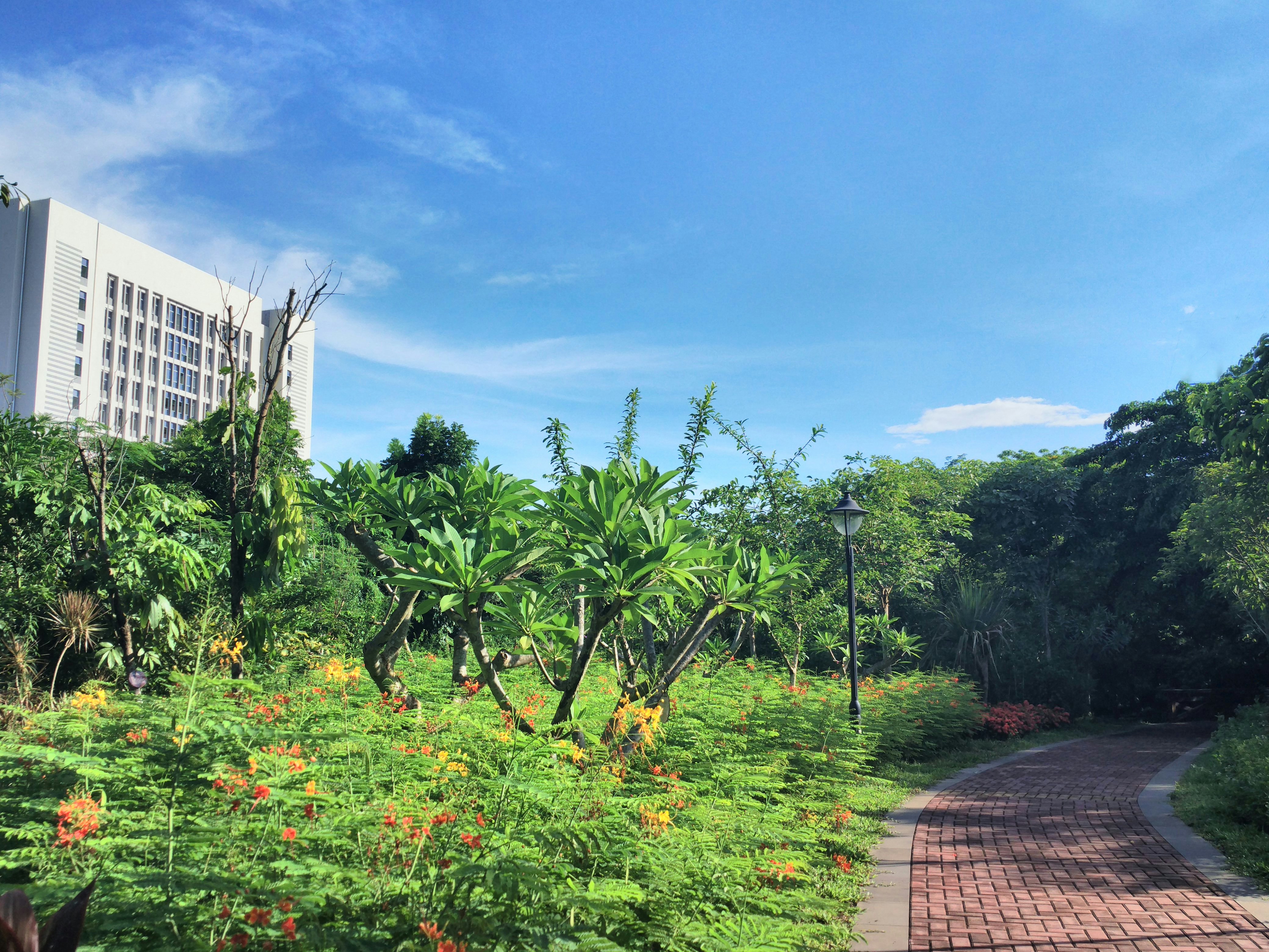 Free Unsplash photo from Mr Peanutbutter