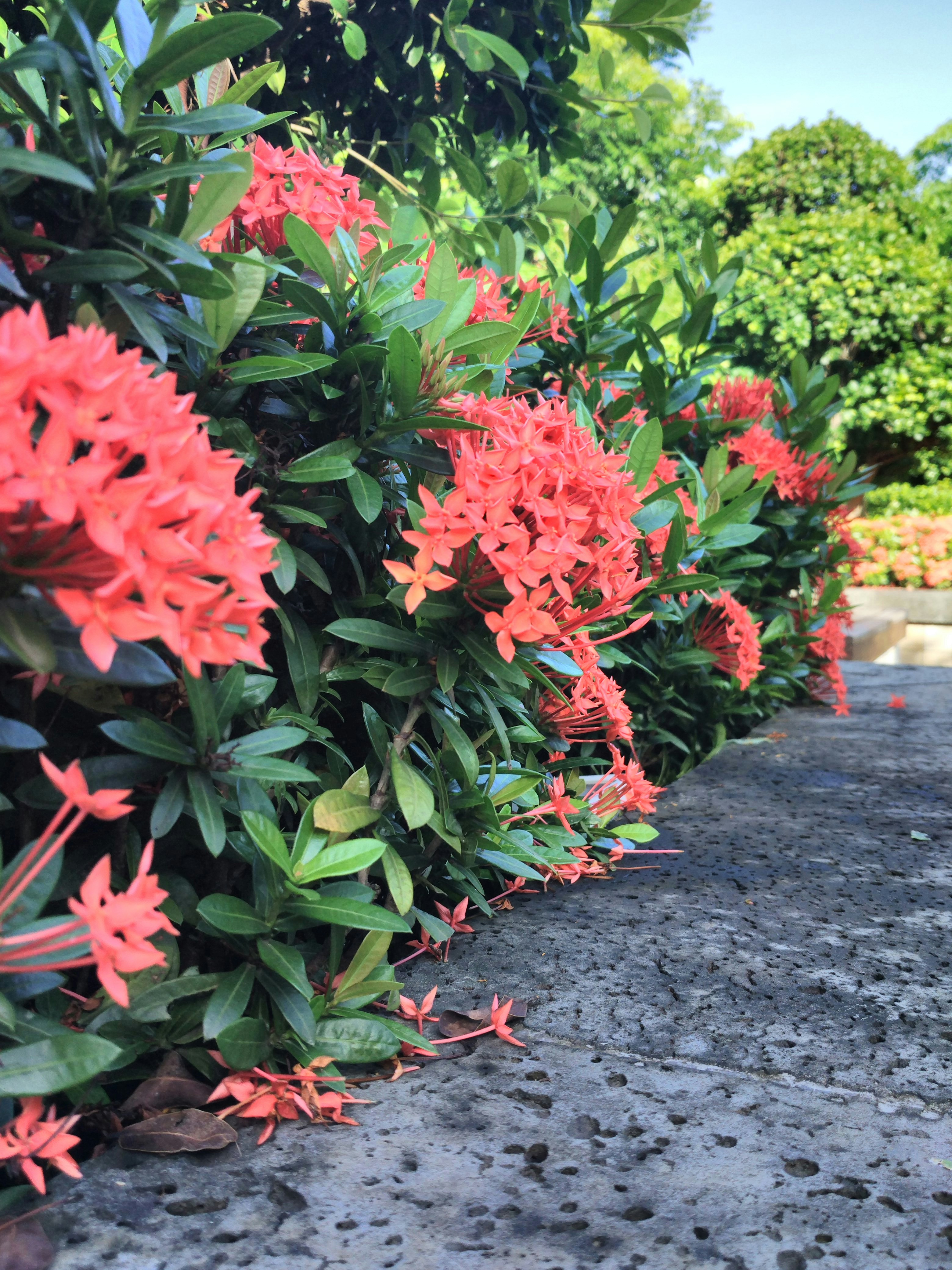 Free Unsplash photo from Mr Peanutbutter