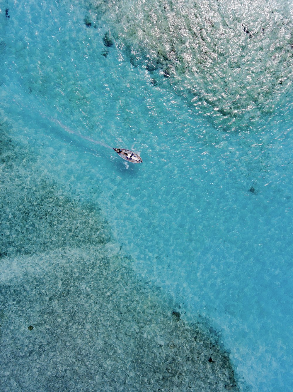 boat cruising on water