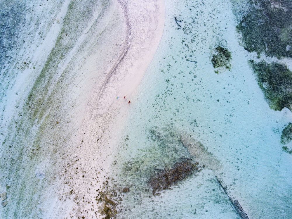 foto dello specchio d'acqua e del litorale