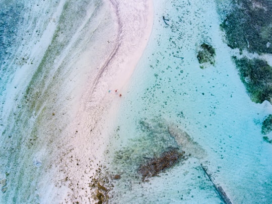 photo of body of water and shoreline in Maafushi Maldives