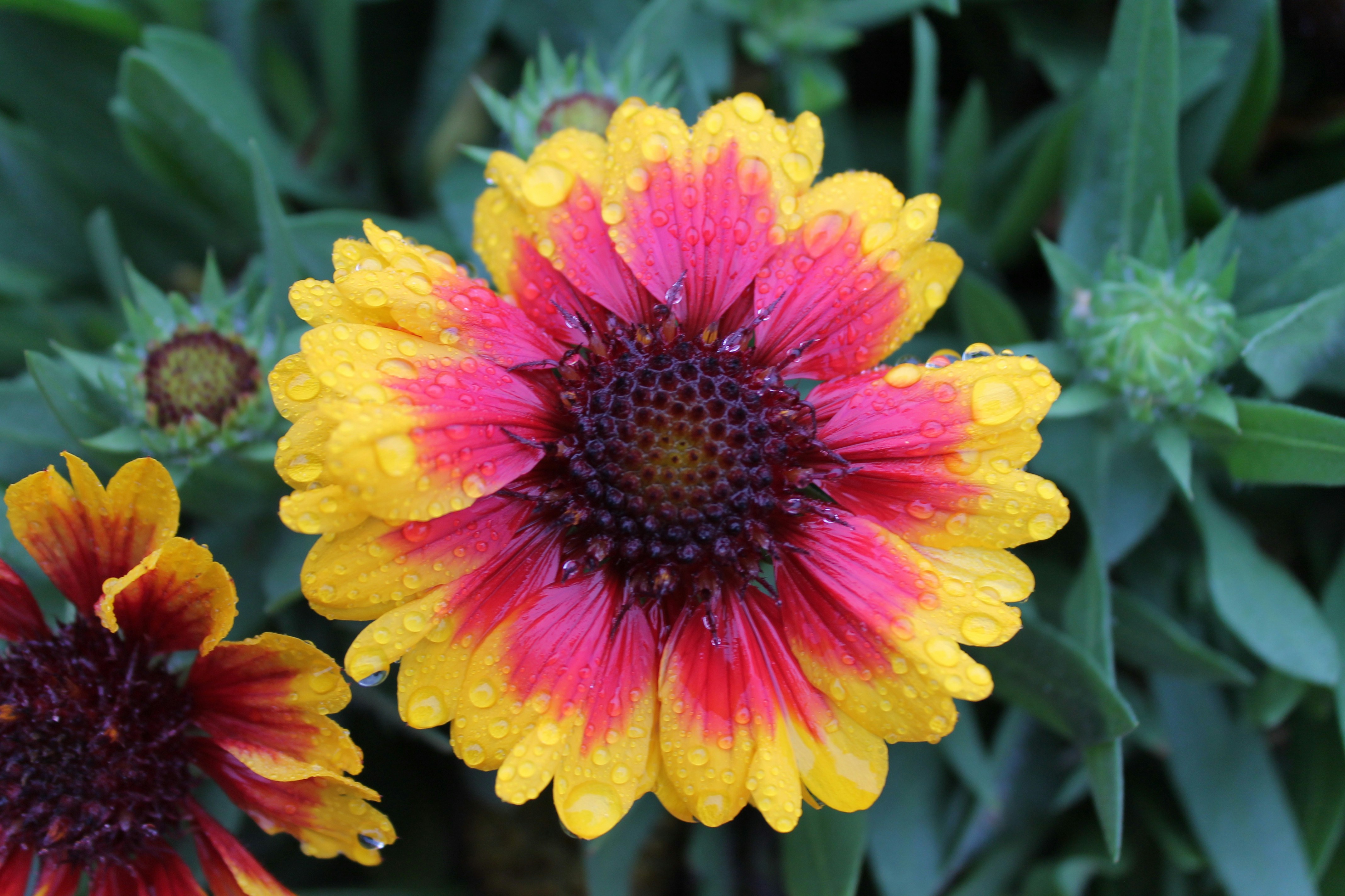 Free Unsplash photo from Kori Archer