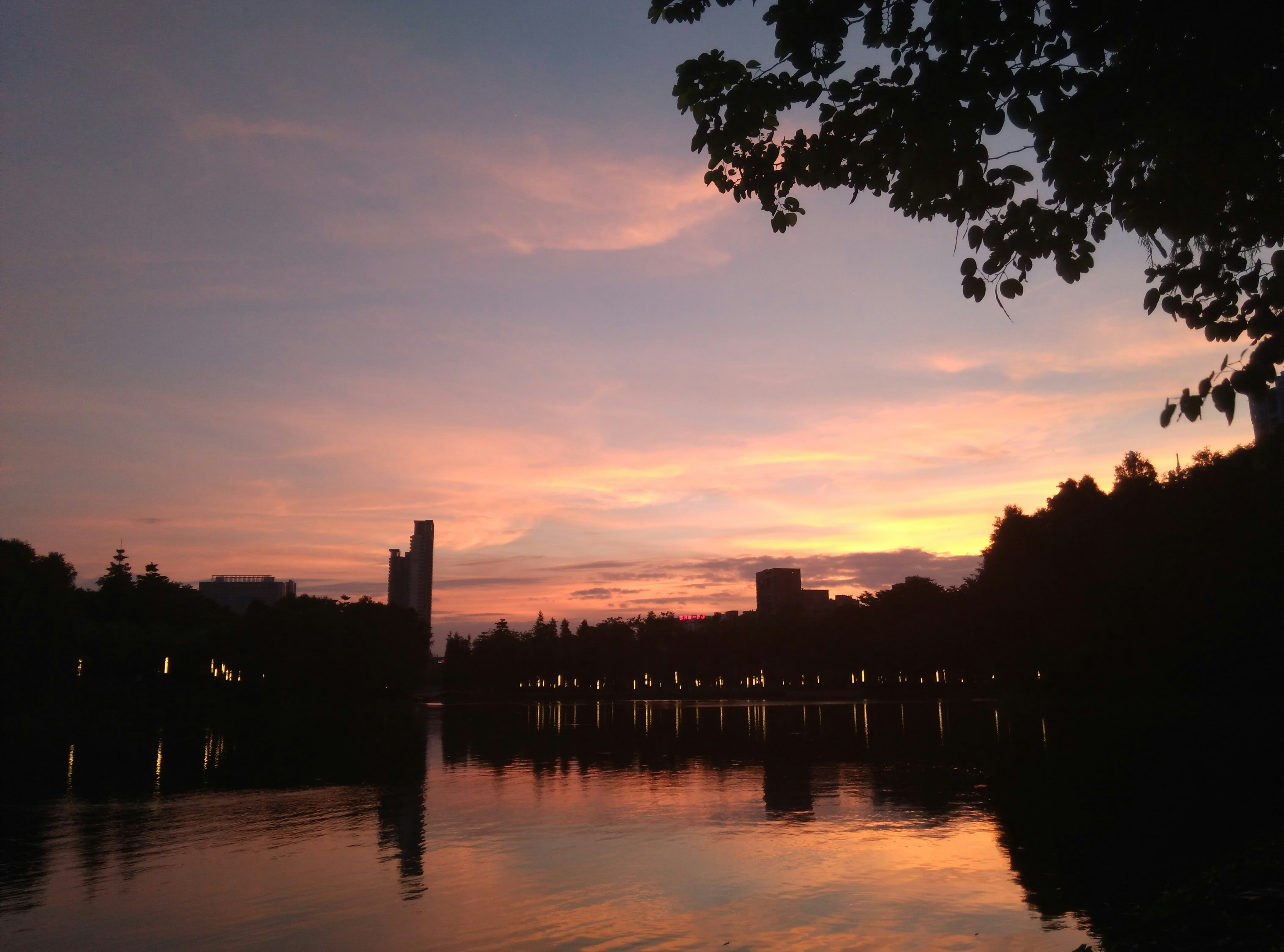 Free Unsplash photo from KingKong Leung