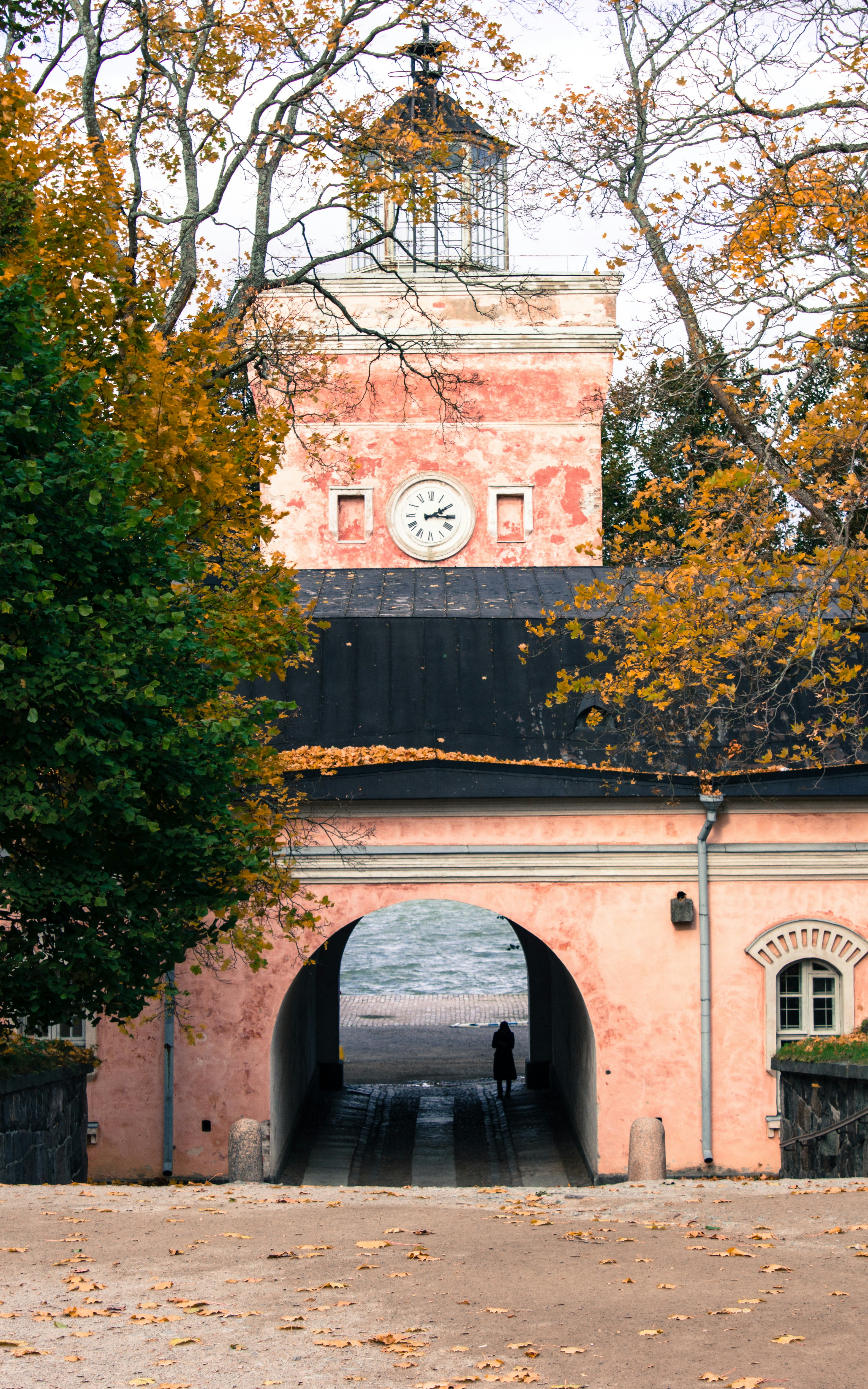 Free Unsplash photo from robbertdb