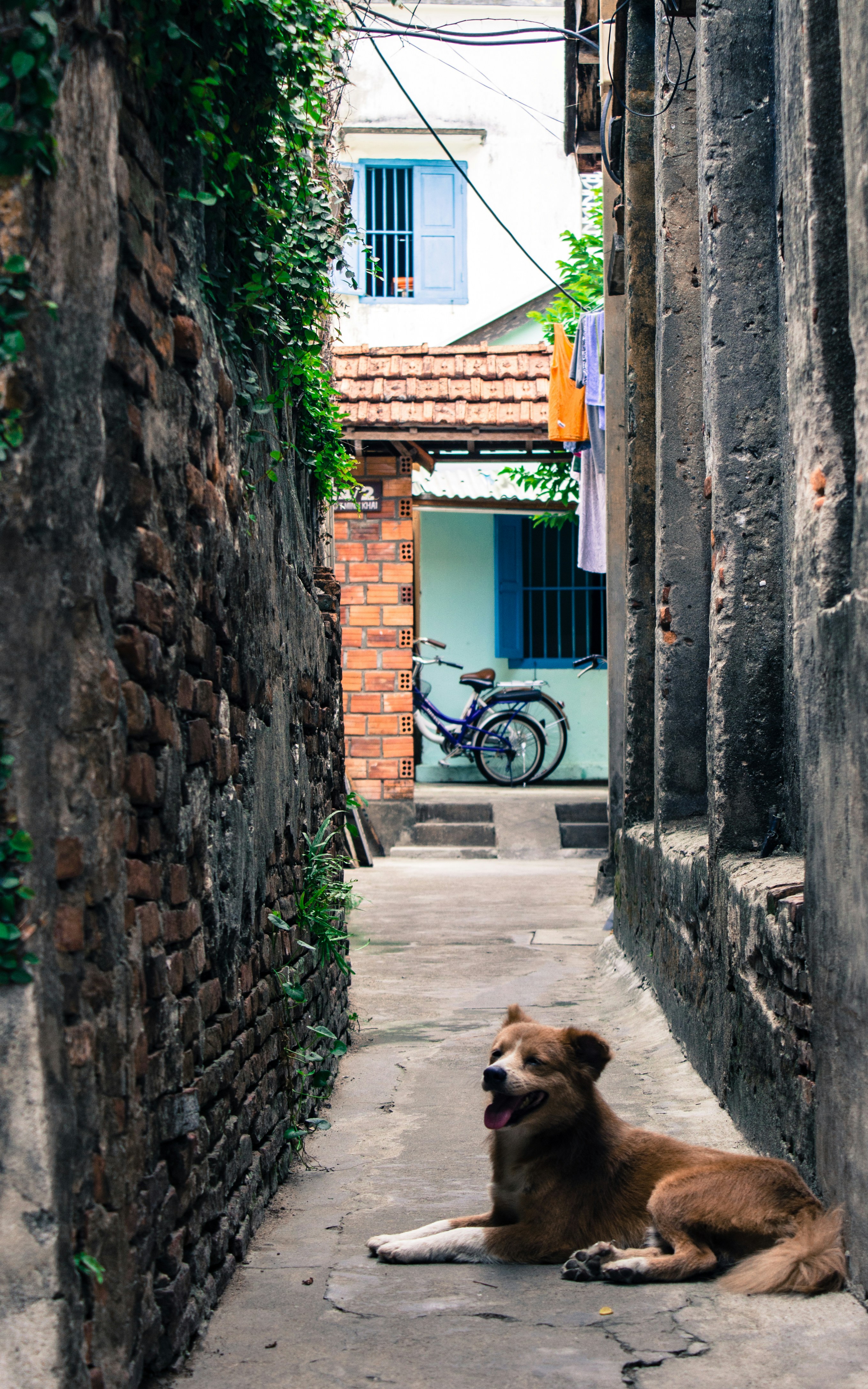 Free Unsplash photo from robbertdb