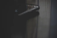 Close-up of a finely crafted wooden door handle reflecting natural light.