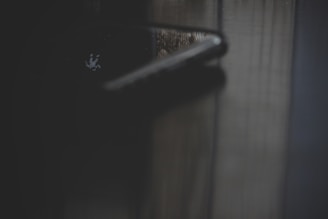 Close-up of a sleek wooden door handle against a dark wood grain door.