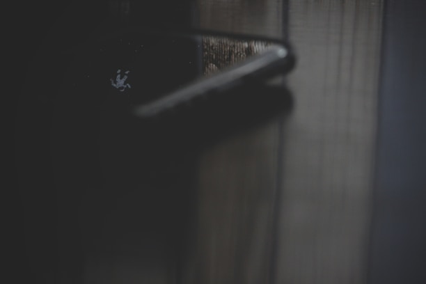 Close-up of a sleek wooden door handle against a dark wood grain door.