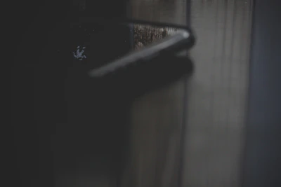 A close-up of a sleek angelus door handle catching the morning light.