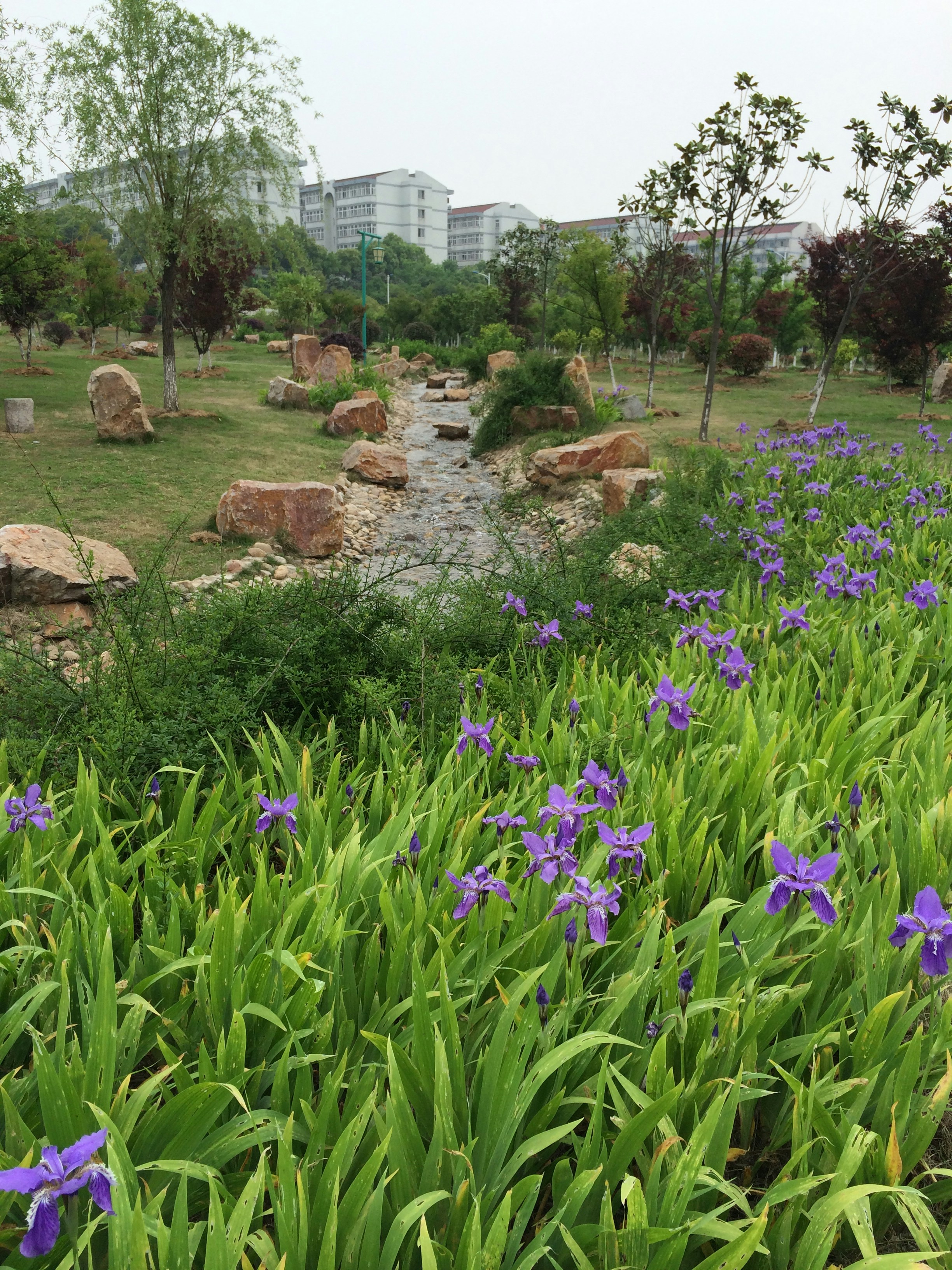 Free Unsplash photo from osman khan