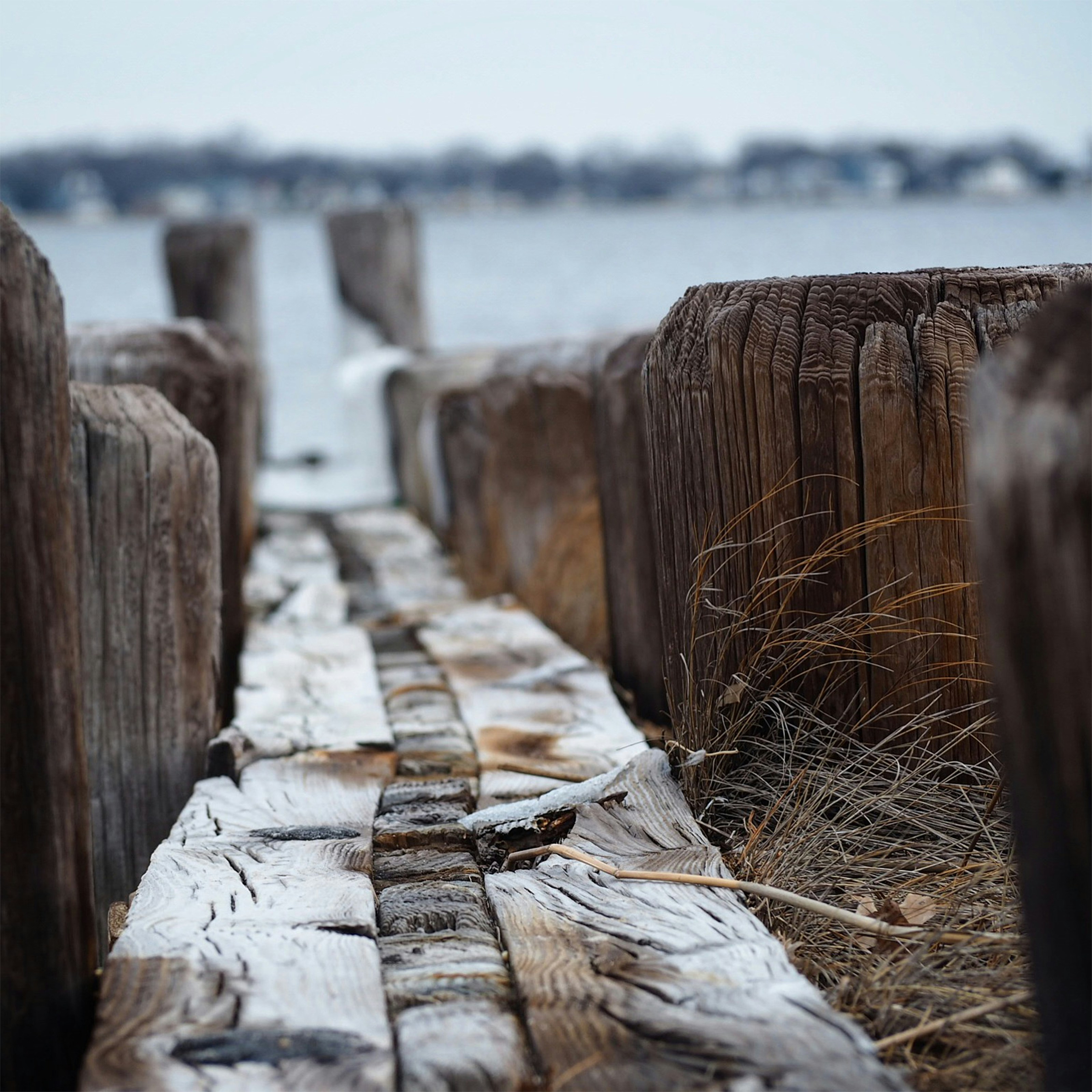 Free Unsplash photo from Michael Kurzynowski