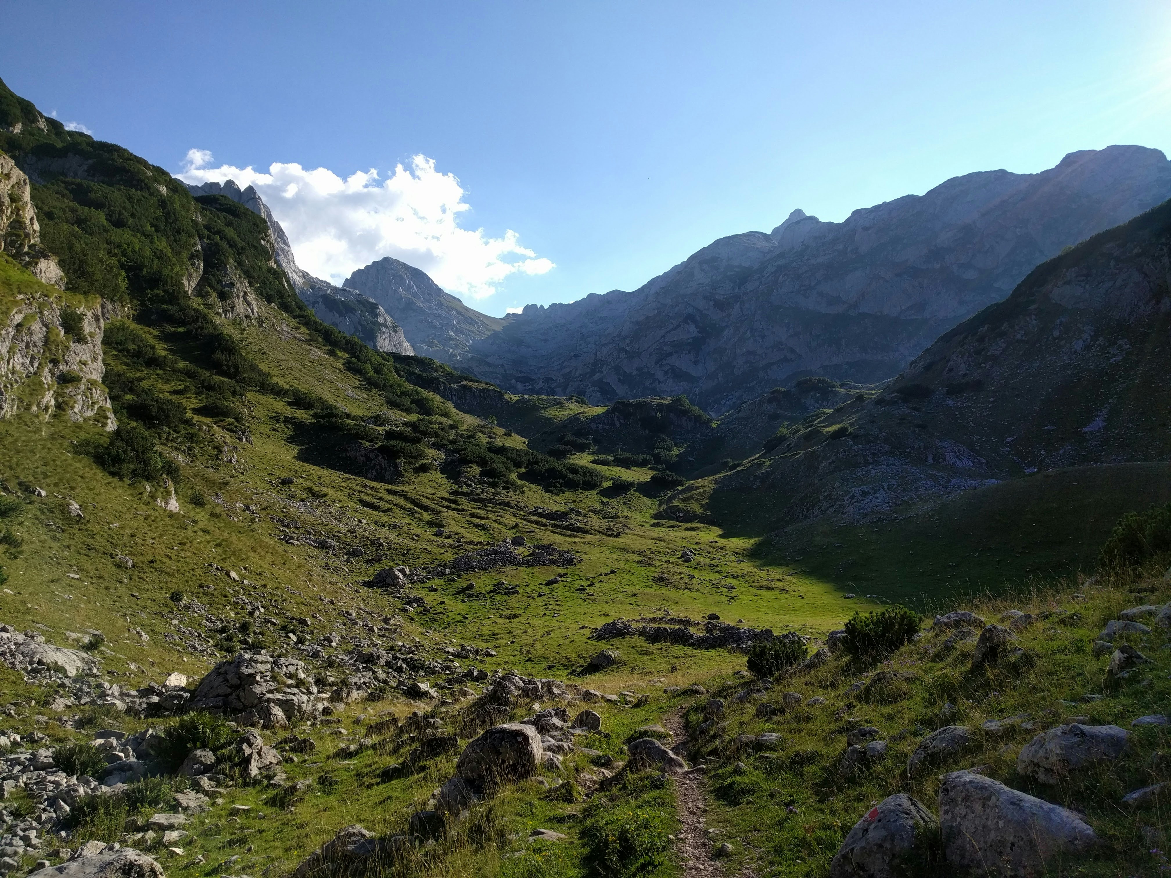 Free Unsplash photo from Илья Сизов