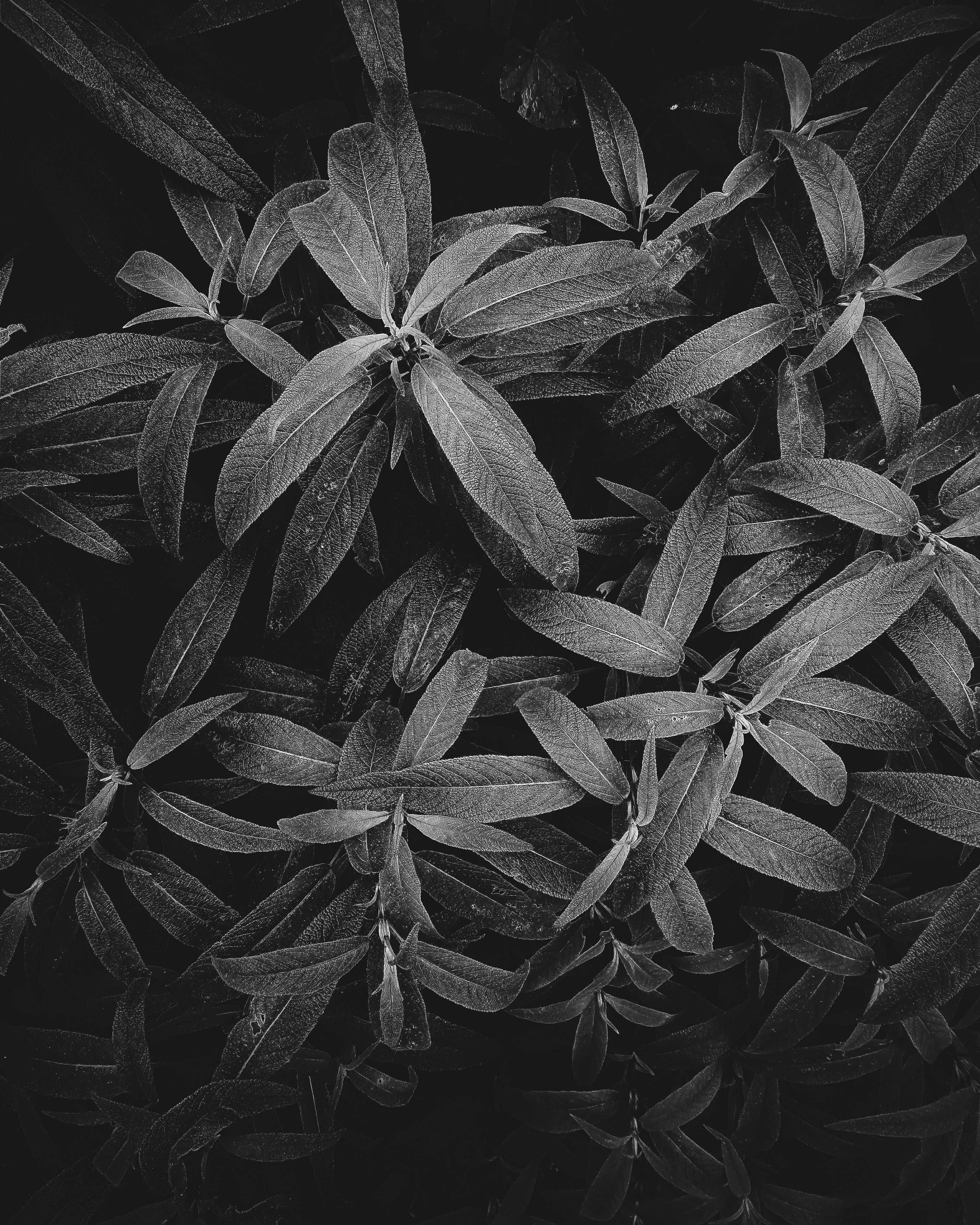 Free Unsplash photo from Aman Nigam