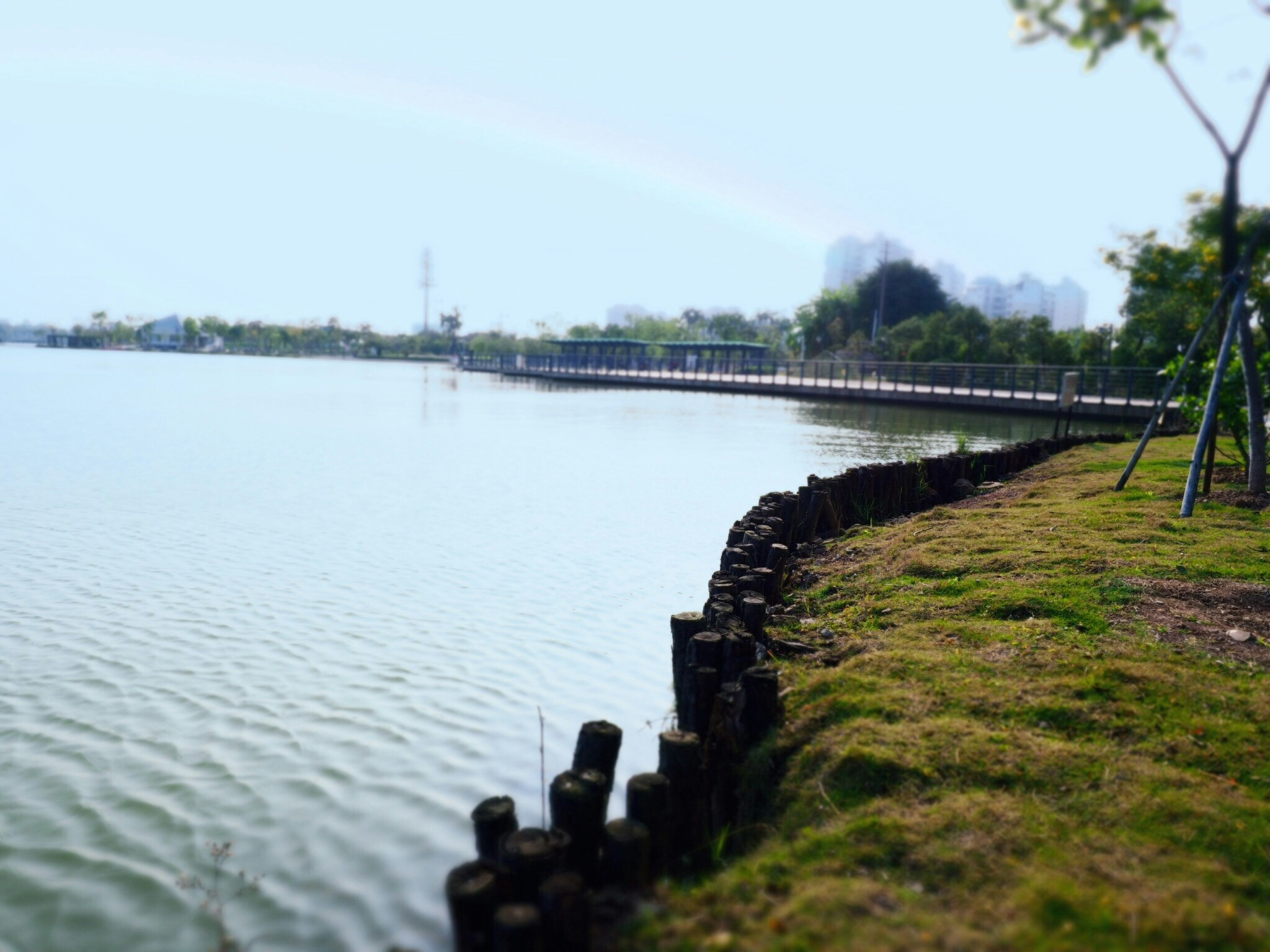 Free Unsplash photo from 鹏程 黄