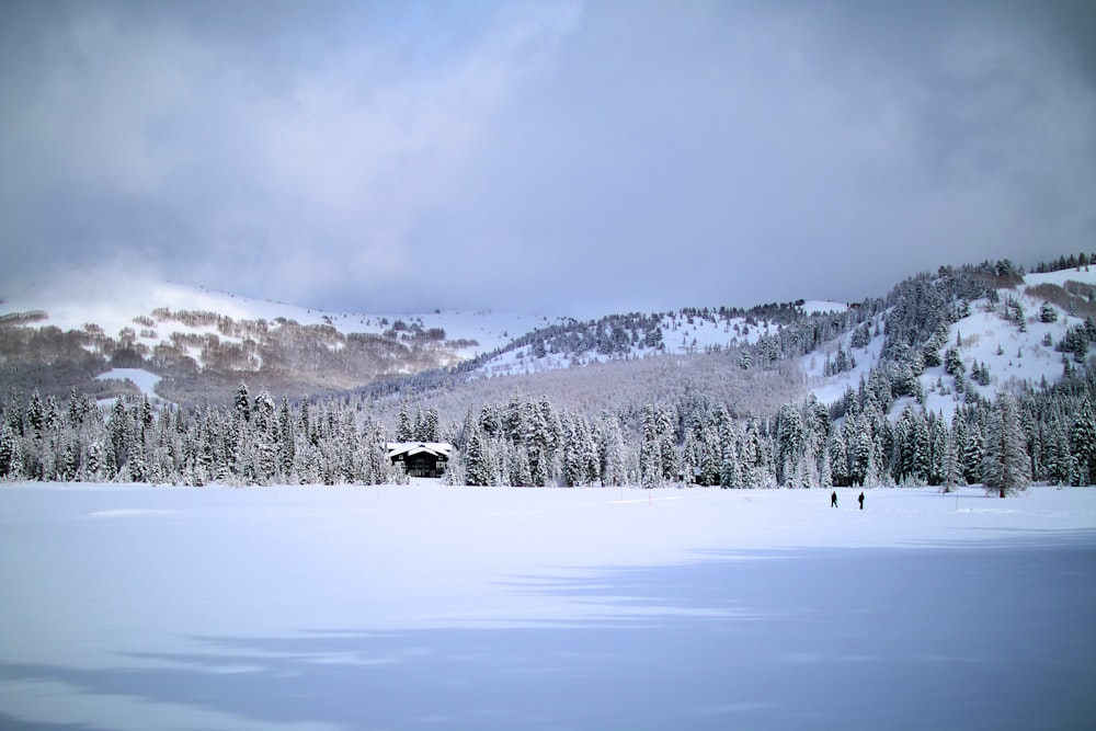 landscape photography of snow mountain