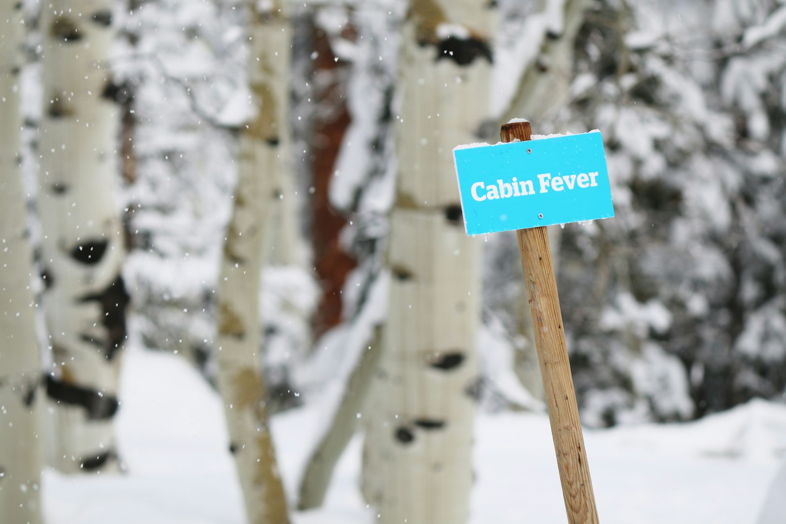 Canon EOS 70D + Canon EF-S 55-250mm F4-5.6 IS II sample photo. Cabin fever signage near photography