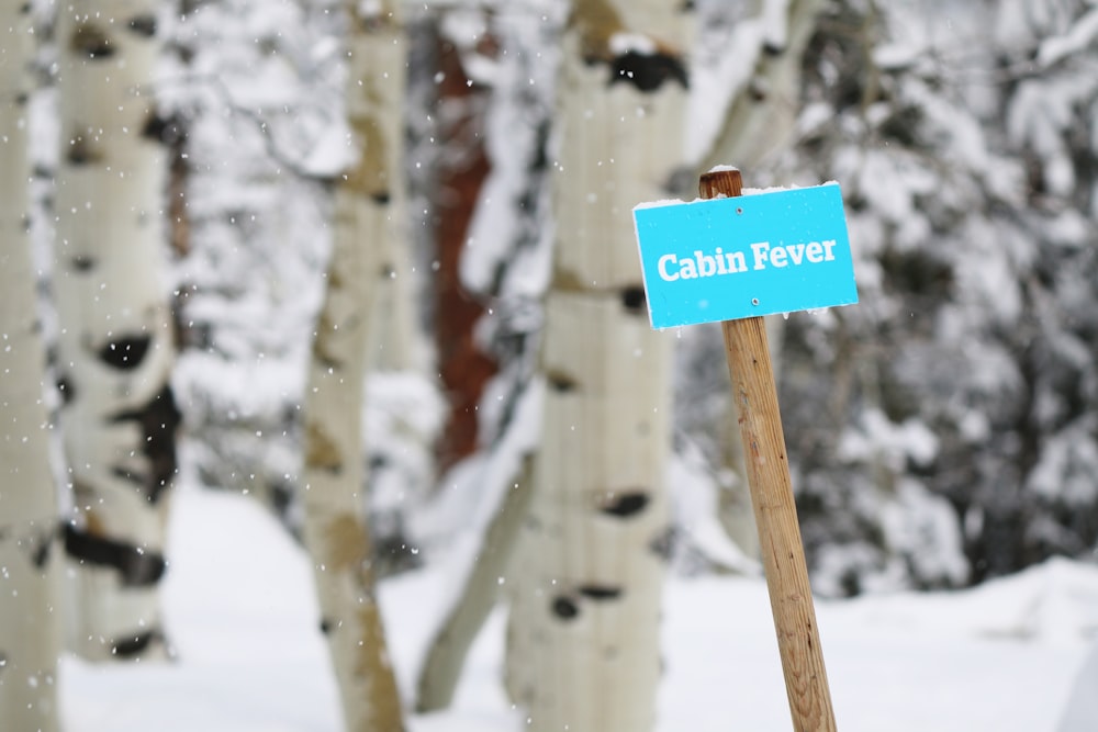 cabin fever signage near tall trees