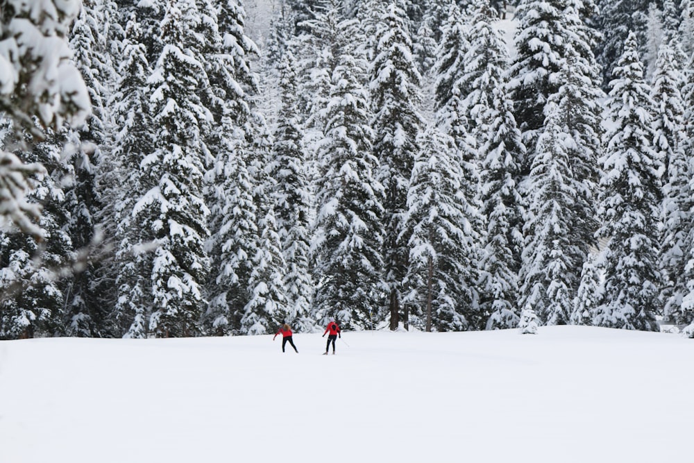 zwei Personen, die auf einer Schneeebene vor Bäumen stehen