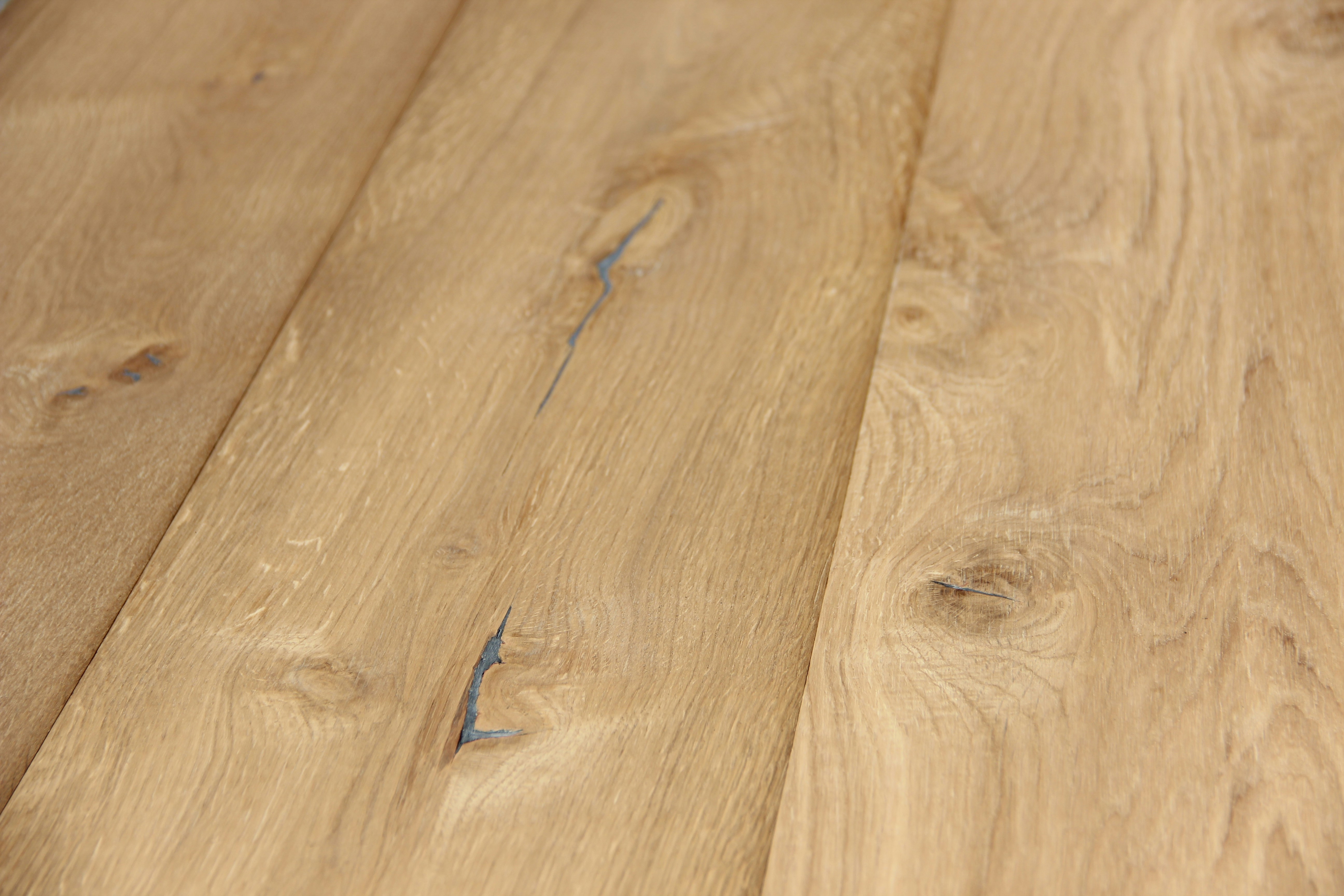 Free Unsplash photo from Cristina Squella