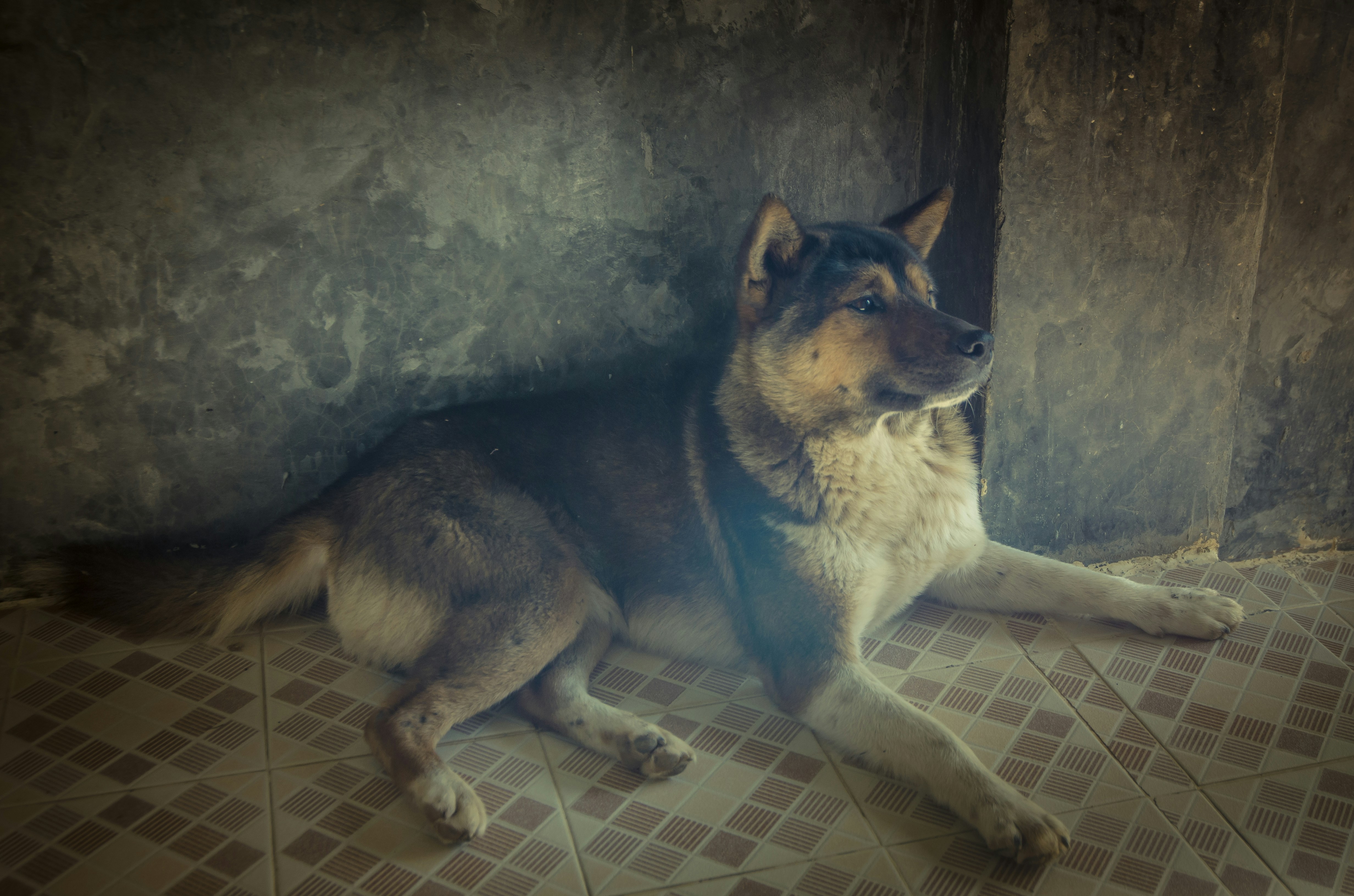 Free Unsplash photo from Josh Haugen