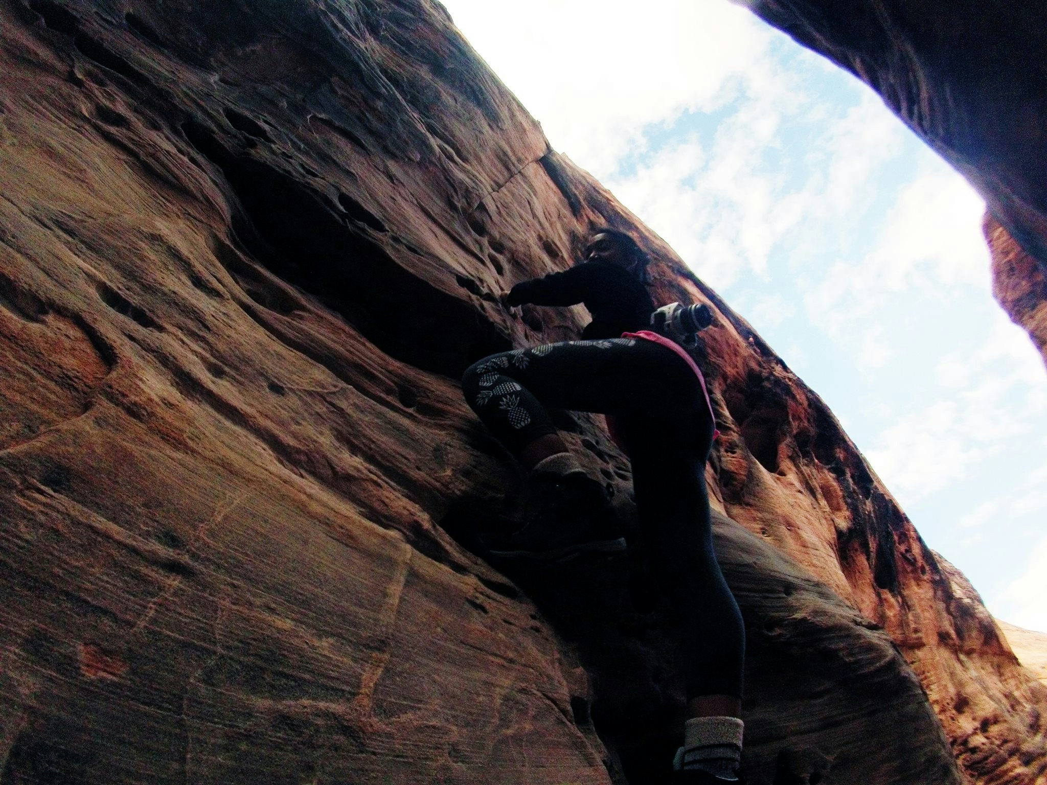 Free Unsplash photo from HappyLifeLearner