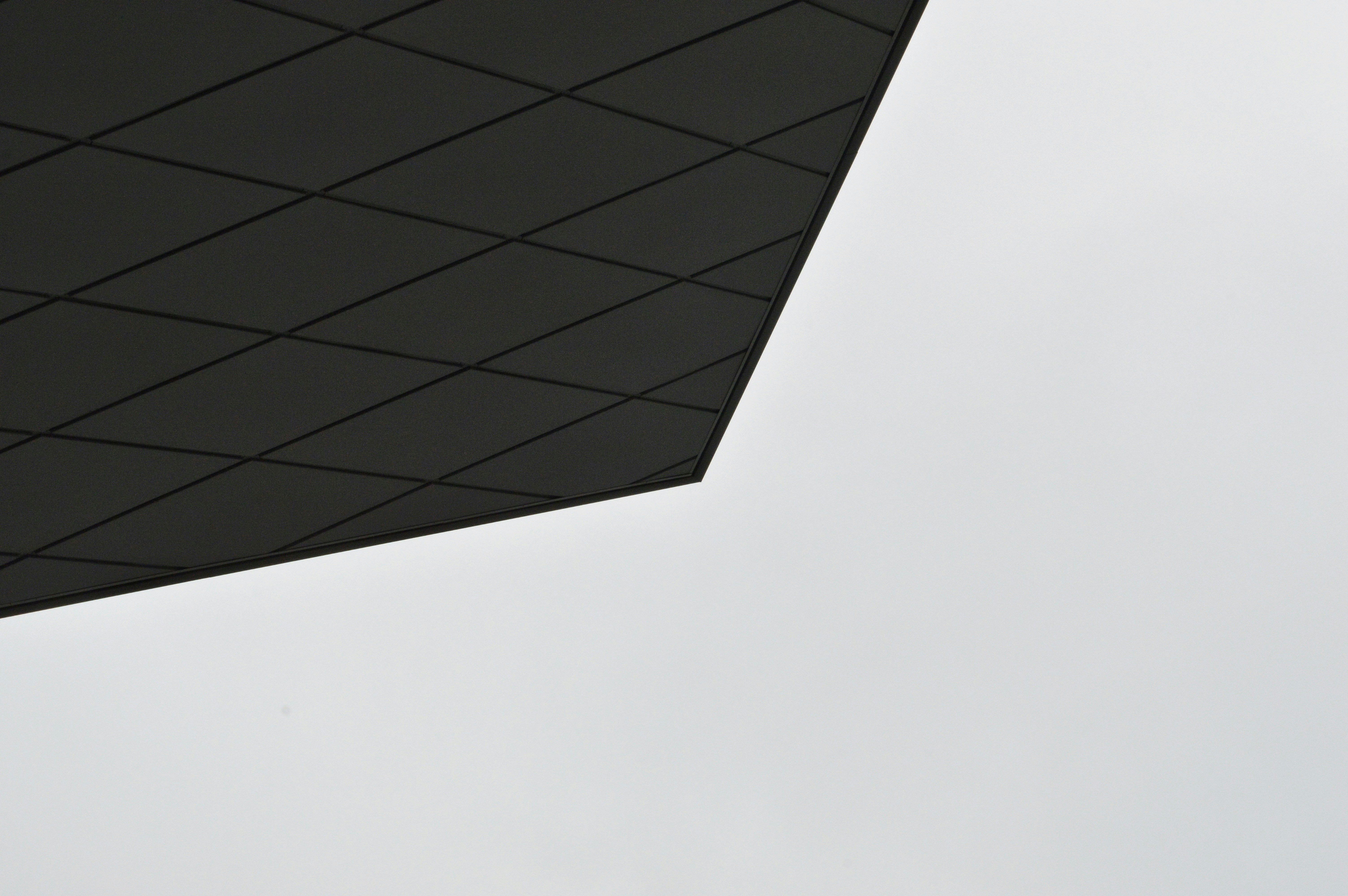 Free Unsplash photo from Jaimie Phillips