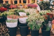 A variety of flowers arranged in bouquets are on display, featuring tulips, hydrangeas, and other blooms, each labeled with price tags in a market or floral shop setting.
