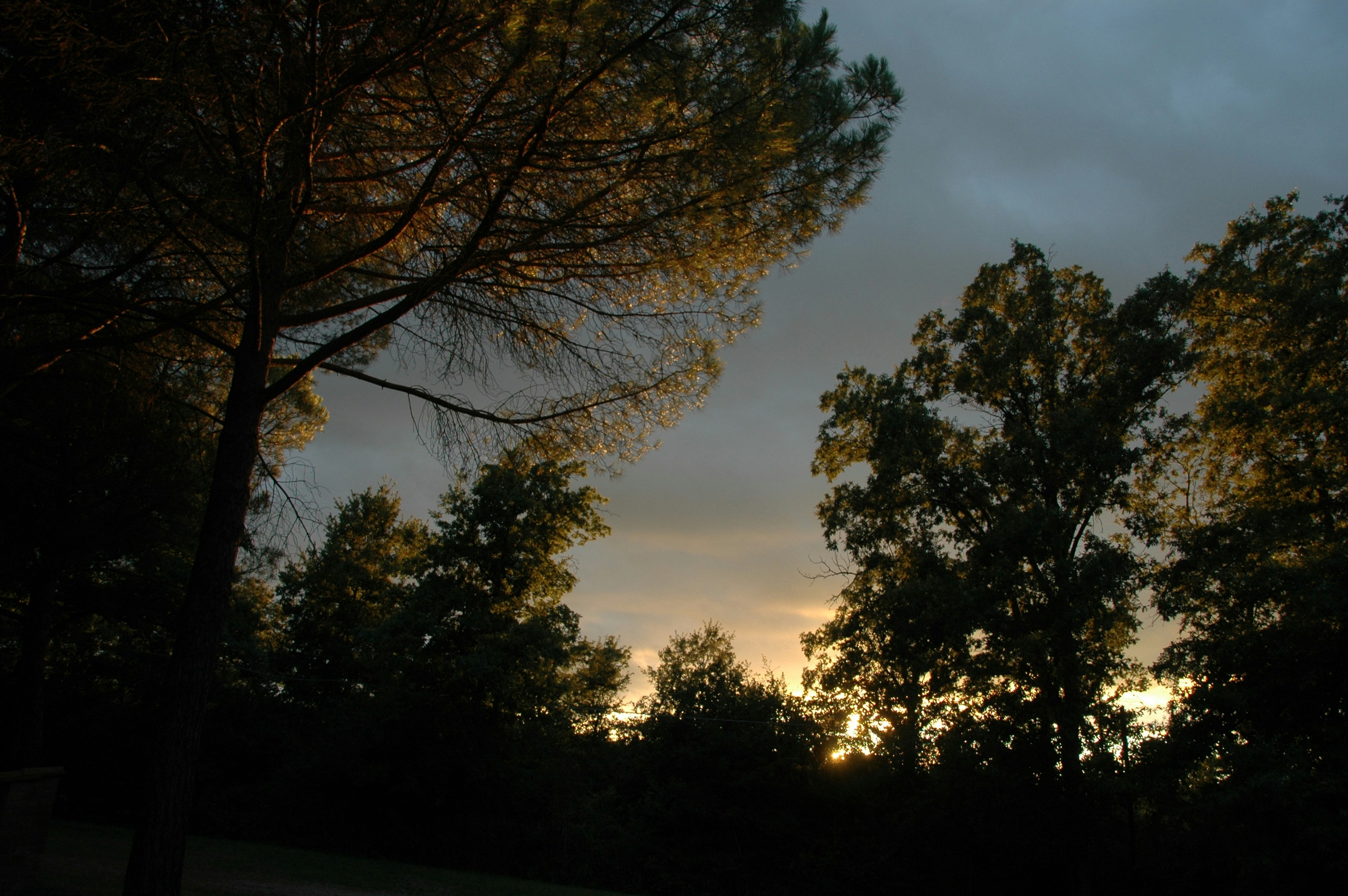 Free Unsplash photo from Bert Jansen