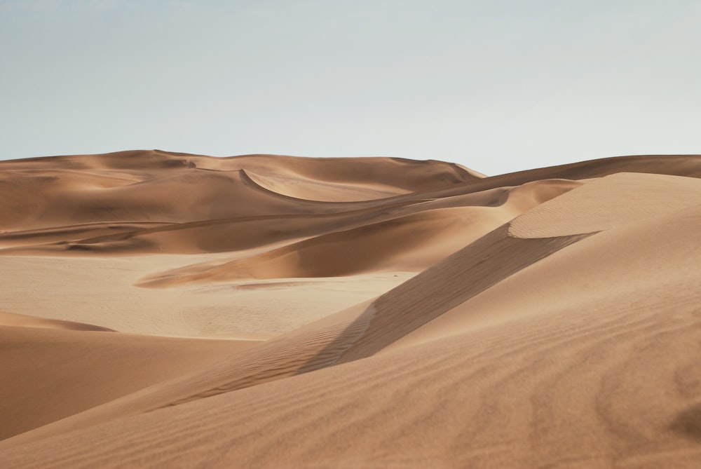 desierto bajo un cielo azul claro durante el día